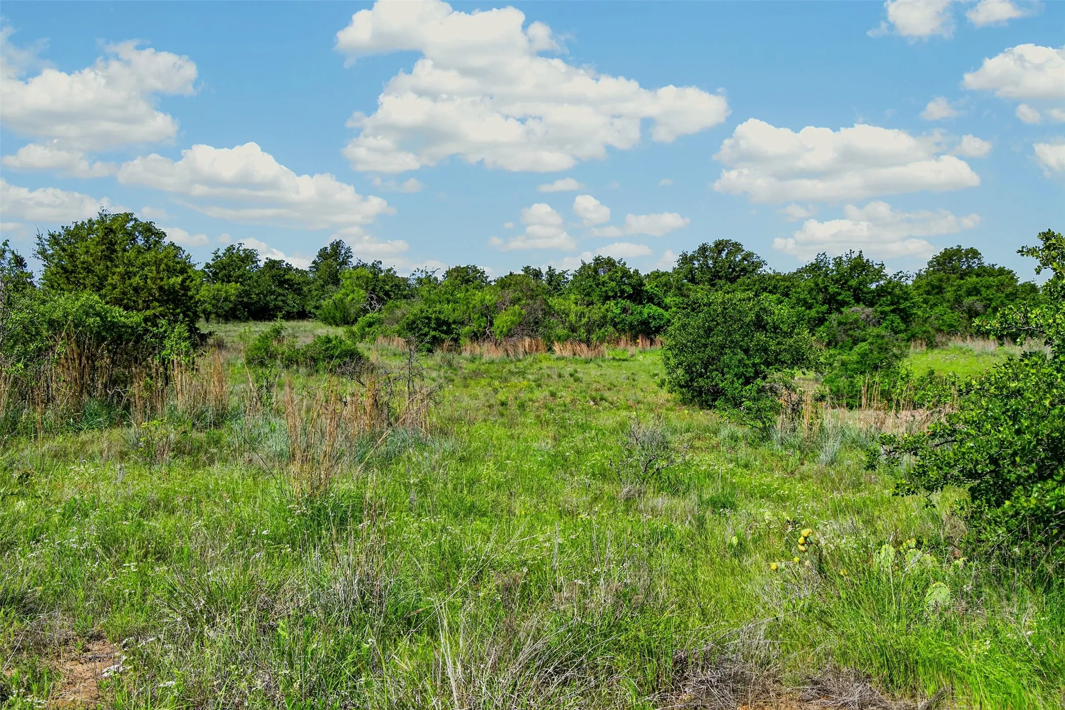 Ranch For Sale in Eastland County , TBD CR 144, Cisco, Texas 76437, 0, 0, Garage spaces, 0 Sqft, built in 0, mls#21264134, Real Estate Agent in Cisco, Homes For Sale in Eastland county, Homes For Sale in Cisco, Realtor in Cisco Texas, Real Estate Brokerage Independent Realty Texas, Luminita Cordes Realtor