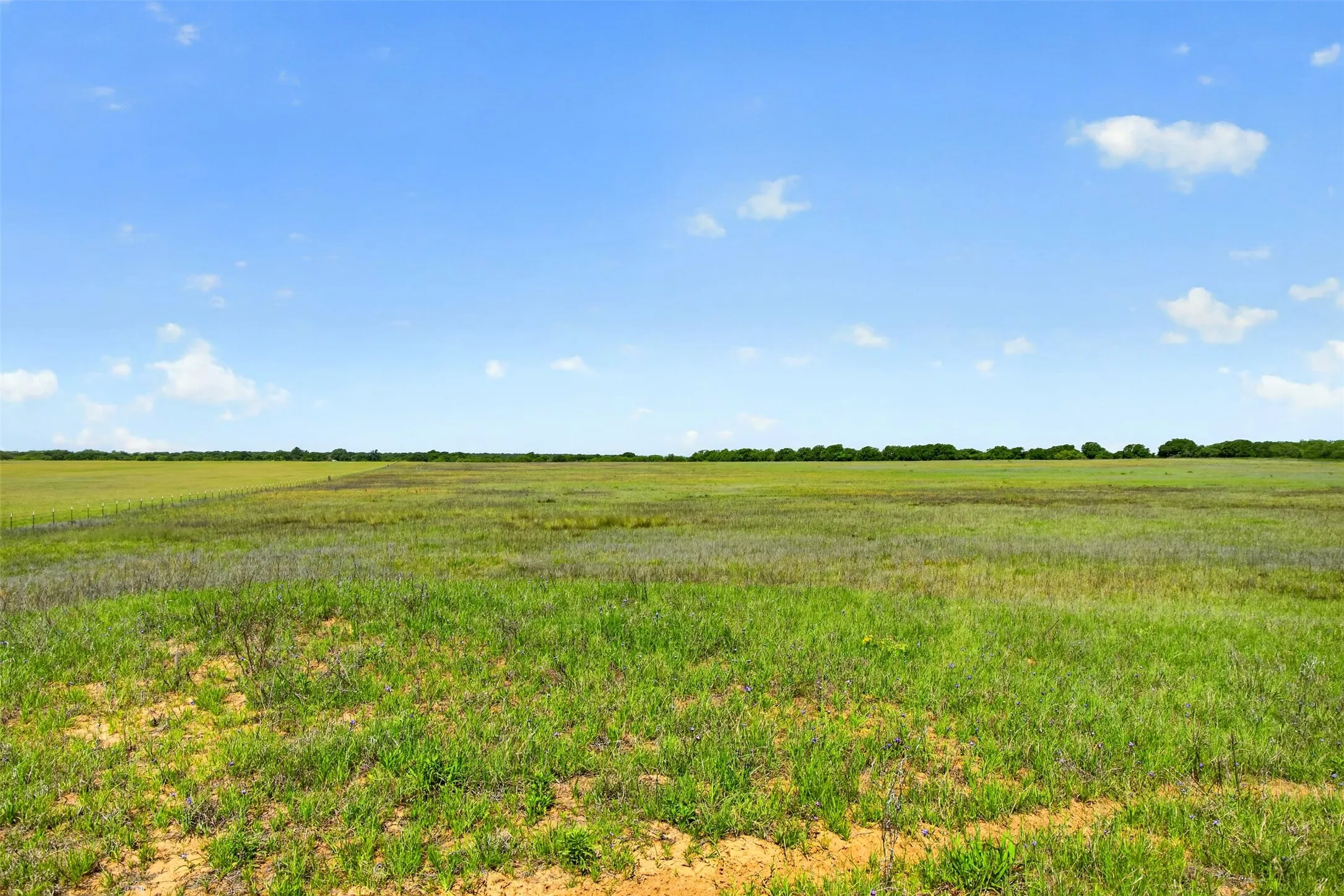 Ranch For Sale in Eastland County , TBD CR 144, Cisco, Texas 76437, 0, 0, Garage spaces, 0 Sqft, built in 0, mls#21264134, Real Estate Agent in Cisco, Homes For Sale in Eastland county, Homes For Sale in Cisco, Realtor in Cisco Texas, Real Estate Brokerage Independent Realty Texas, Luminita Cordes Realtor