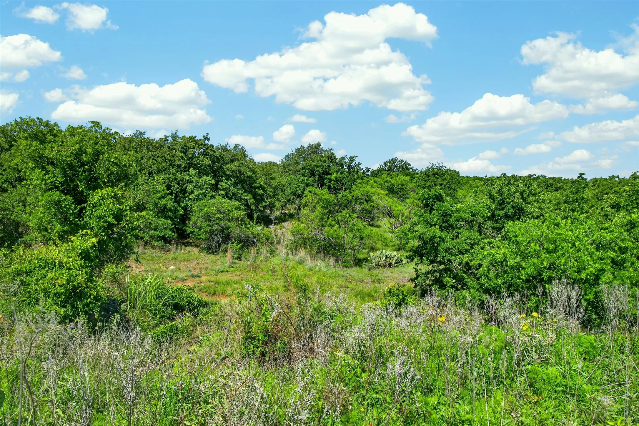 Ranch For Sale in Eastland County , TBD CR 144, Cisco, Texas 76437, 0, 0, Garage spaces, 0 Sqft, built in 0, mls#21264134, Real Estate Agent in Cisco, Homes For Sale in Eastland county, Homes For Sale in Cisco, Realtor in Cisco Texas, Real Estate Brokerage Independent Realty Texas, Luminita Cordes Realtor