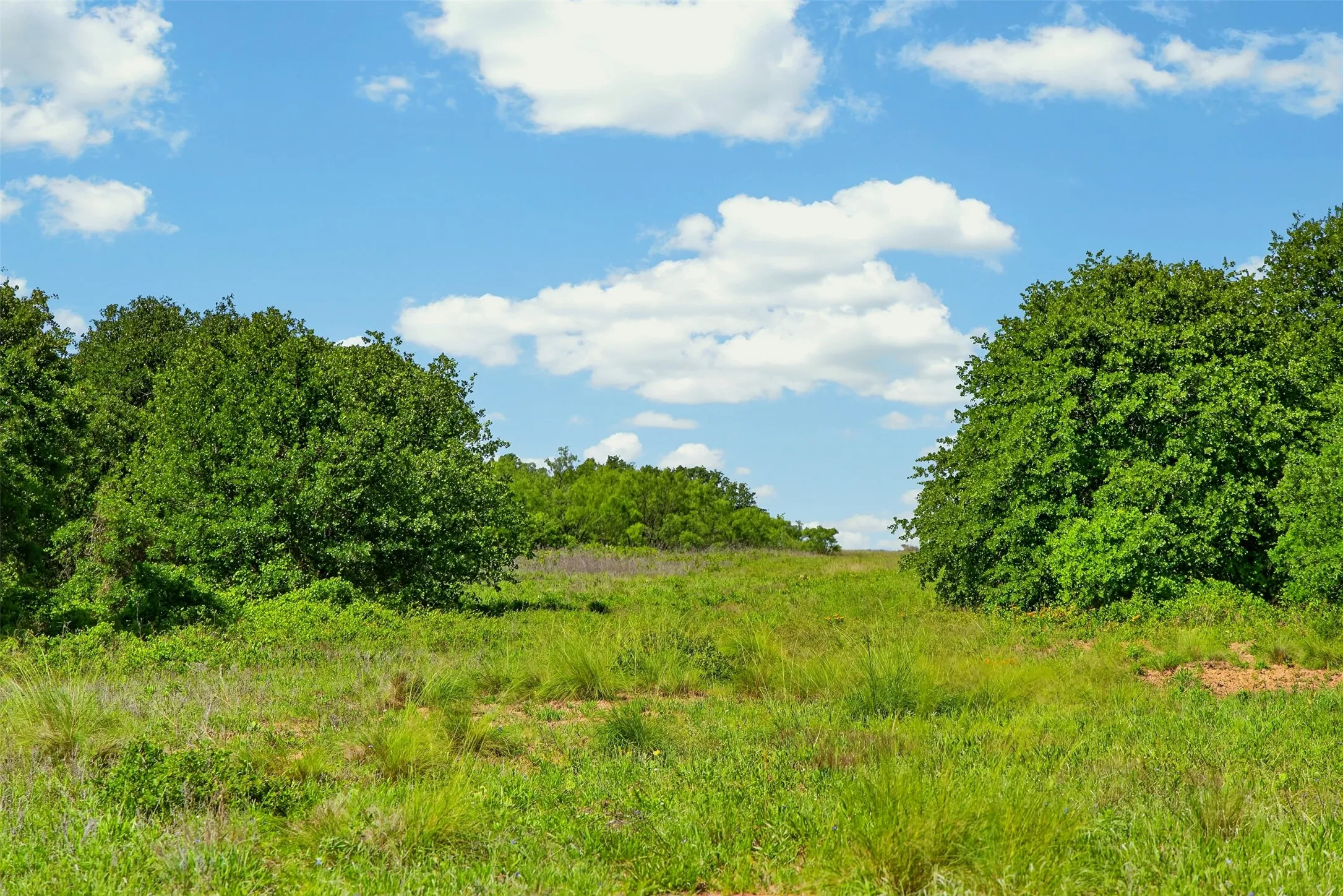 Ranch For Sale in Eastland County , TBD CR 144, Cisco, Texas 76437, 0, 0, Garage spaces, 0 Sqft, built in 0, mls#21264134, Real Estate Agent in Cisco, Homes For Sale in Eastland county, Homes For Sale in Cisco, Realtor in Cisco Texas, Real Estate Brokerage Independent Realty Texas, Luminita Cordes Realtor
