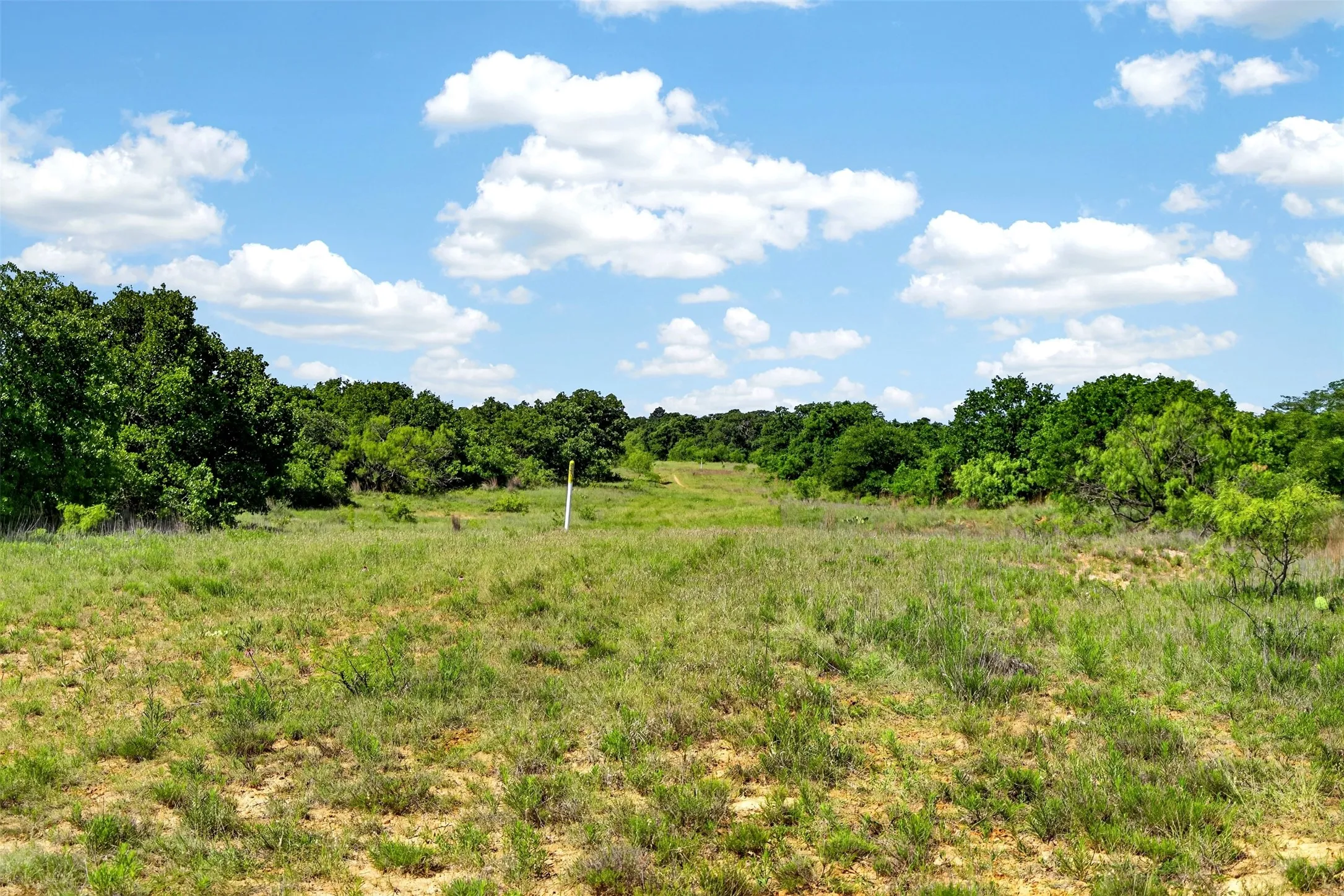 Ranch For Sale in Eastland County , TBD CR 144, Cisco, Texas 76437, 0, 0, Garage spaces, 0 Sqft, built in 0, mls#21264134, Real Estate Agent in Cisco, Homes For Sale in Eastland county, Homes For Sale in Cisco, Realtor in Cisco Texas, Real Estate Brokerage Independent Realty Texas, Luminita Cordes Realtor