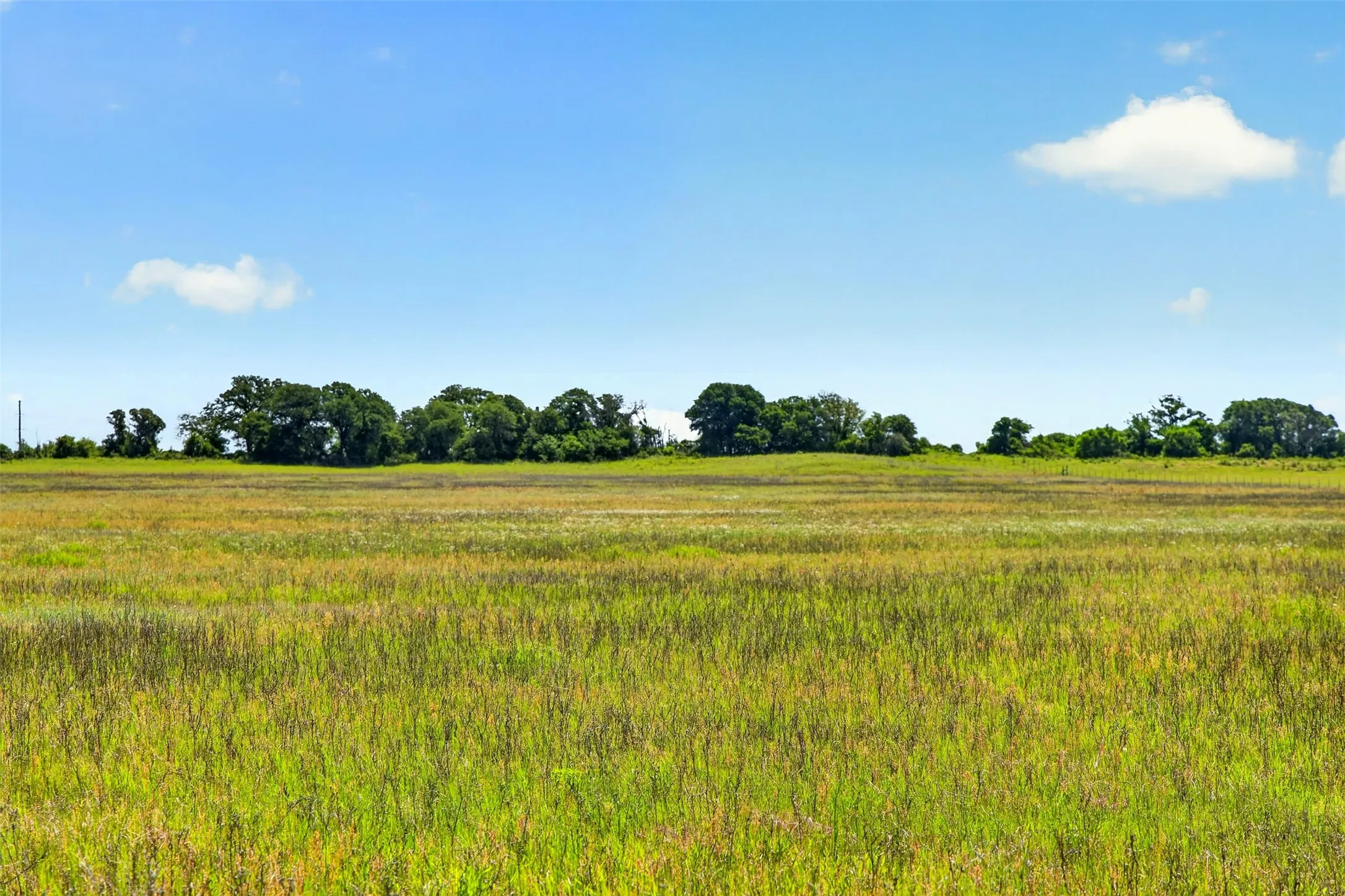 Ranch For Sale in Eastland County , TBD CR 144, Cisco, Texas 76437, 0, 0, Garage spaces, 0 Sqft, built in 0, mls#21264134, Real Estate Agent in Cisco, Homes For Sale in Eastland county, Homes For Sale in Cisco, Realtor in Cisco Texas, Real Estate Brokerage Independent Realty Texas, Luminita Cordes Realtor