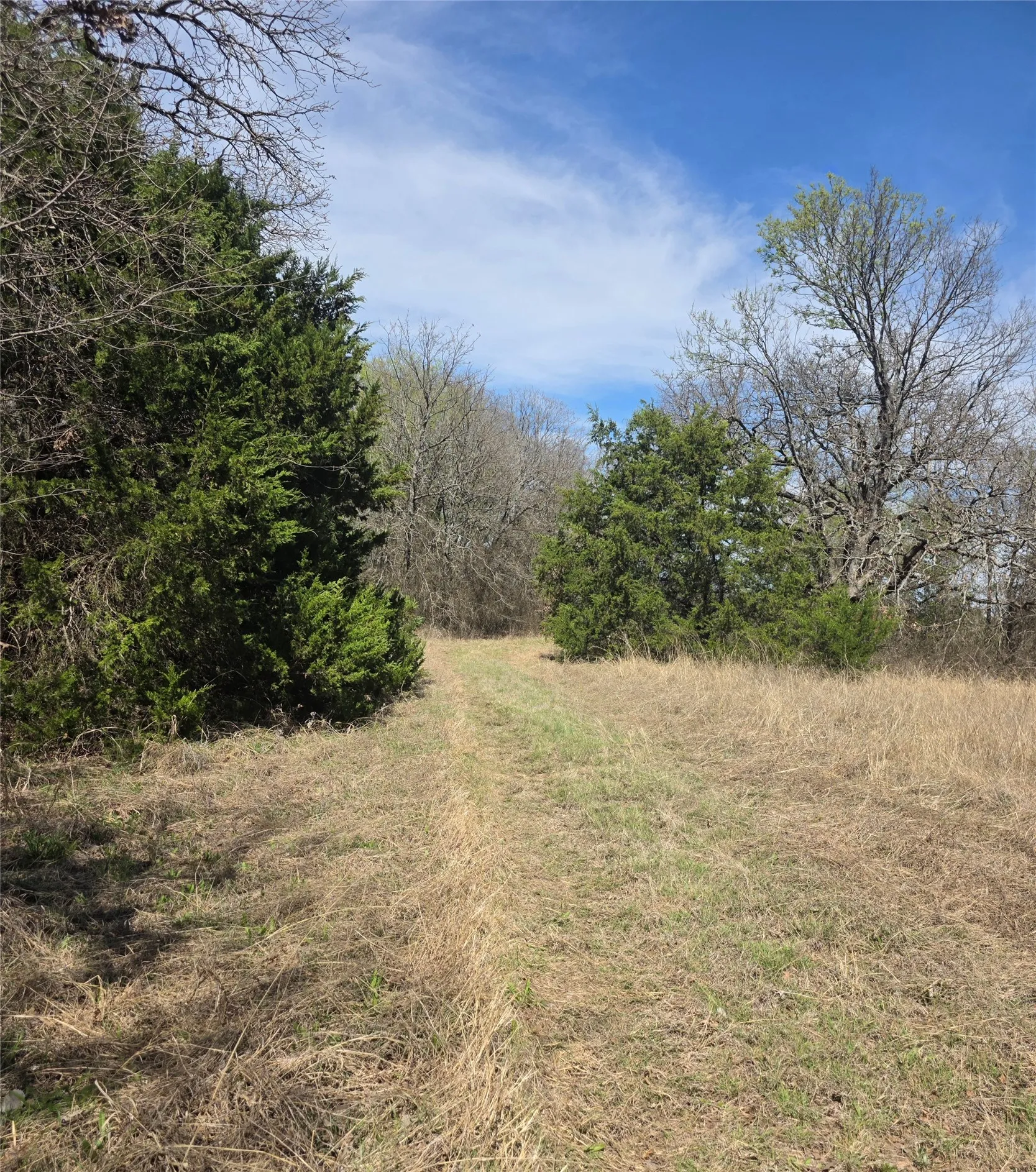 The back acreage has nice trees and open area that would make perfect home site.