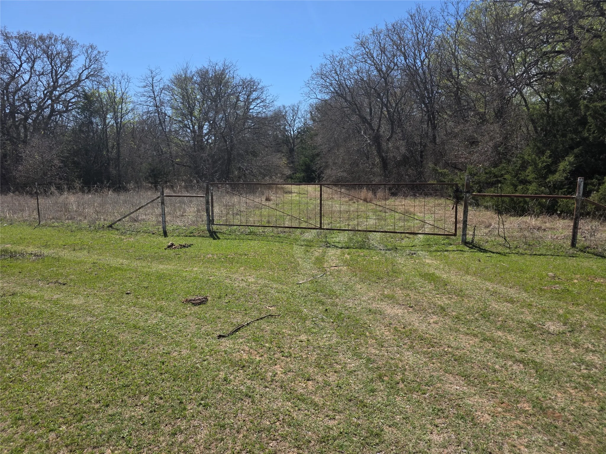 Gate to treed area of lot
