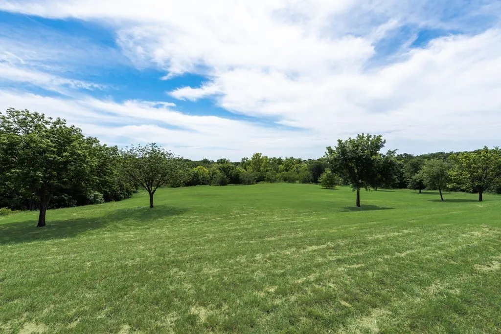 Expansive green lawn with scattered mature trees and a perimeter of dense foliage