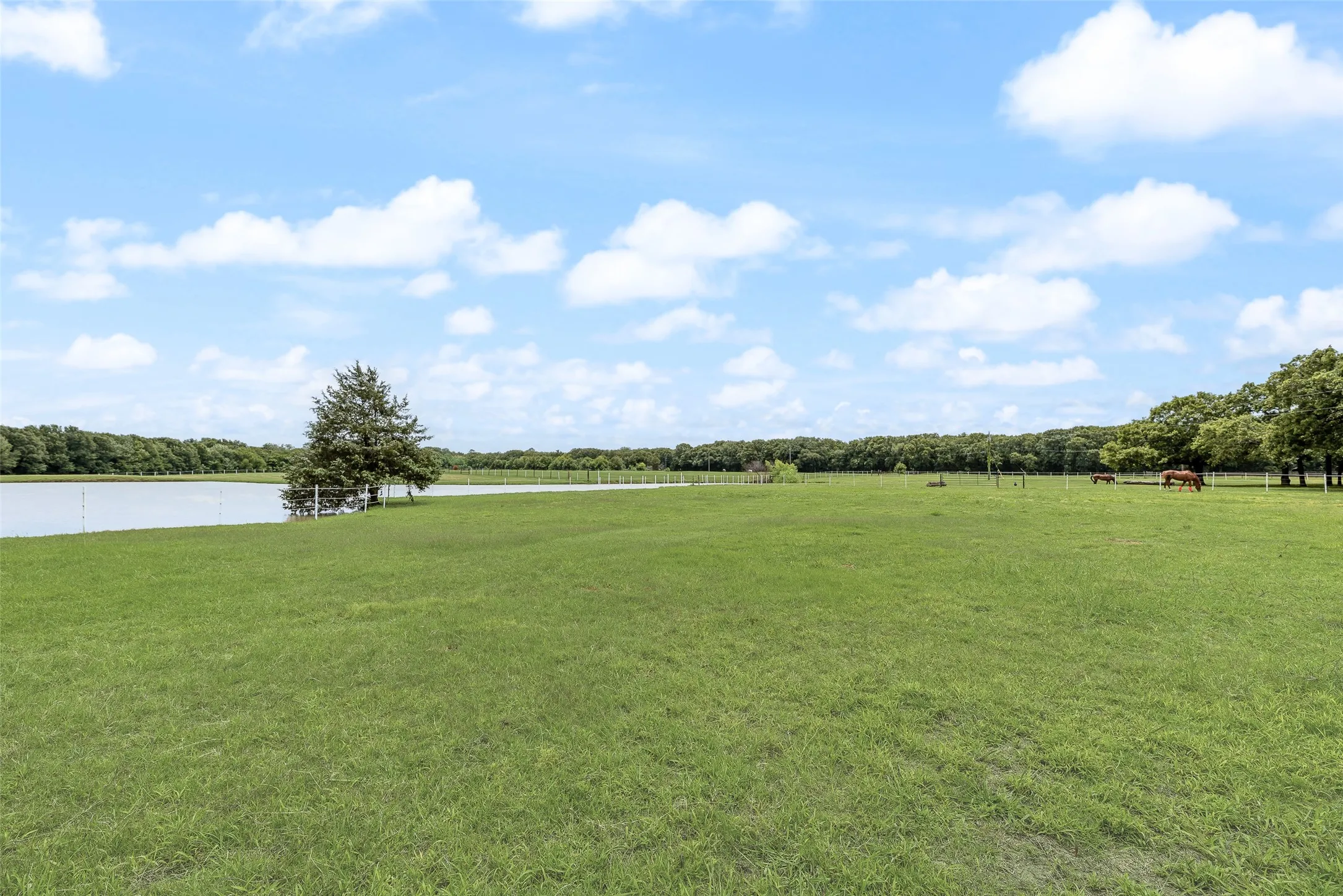 Farm For Sale in Hunt County , 1040 County Road 3505, Quinlan, Texas 75474, 5 Bedroom, 5 Bathroom, 5 Garage spaces, 4,045 Sqft, built in 1989, mls#21254771, Real Estate Agent in Quinlan, Homes For Sale in Hunt county, Homes For Sale in Quinlan, Realtor in Quinlan Texas, Real Estate Brokerage Independent Realty Texas, Luminita Cordes Realtor