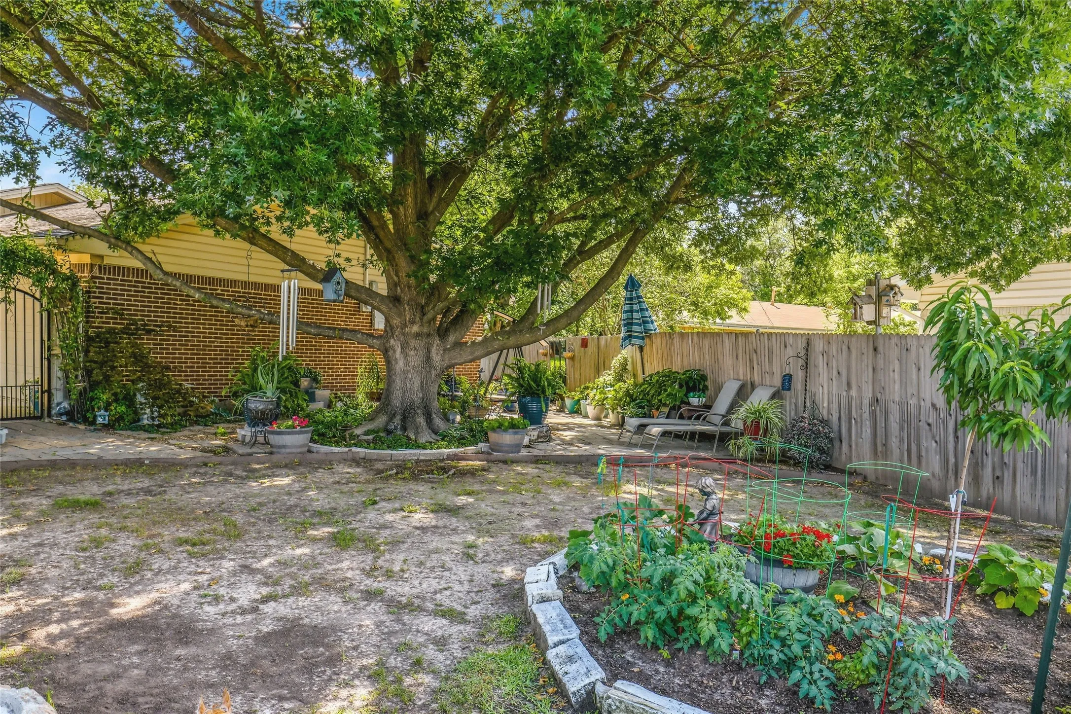 Expansive backyard featuring a large mature tree, a dedicated garden area with established plantings, and a solid wood privacy fence