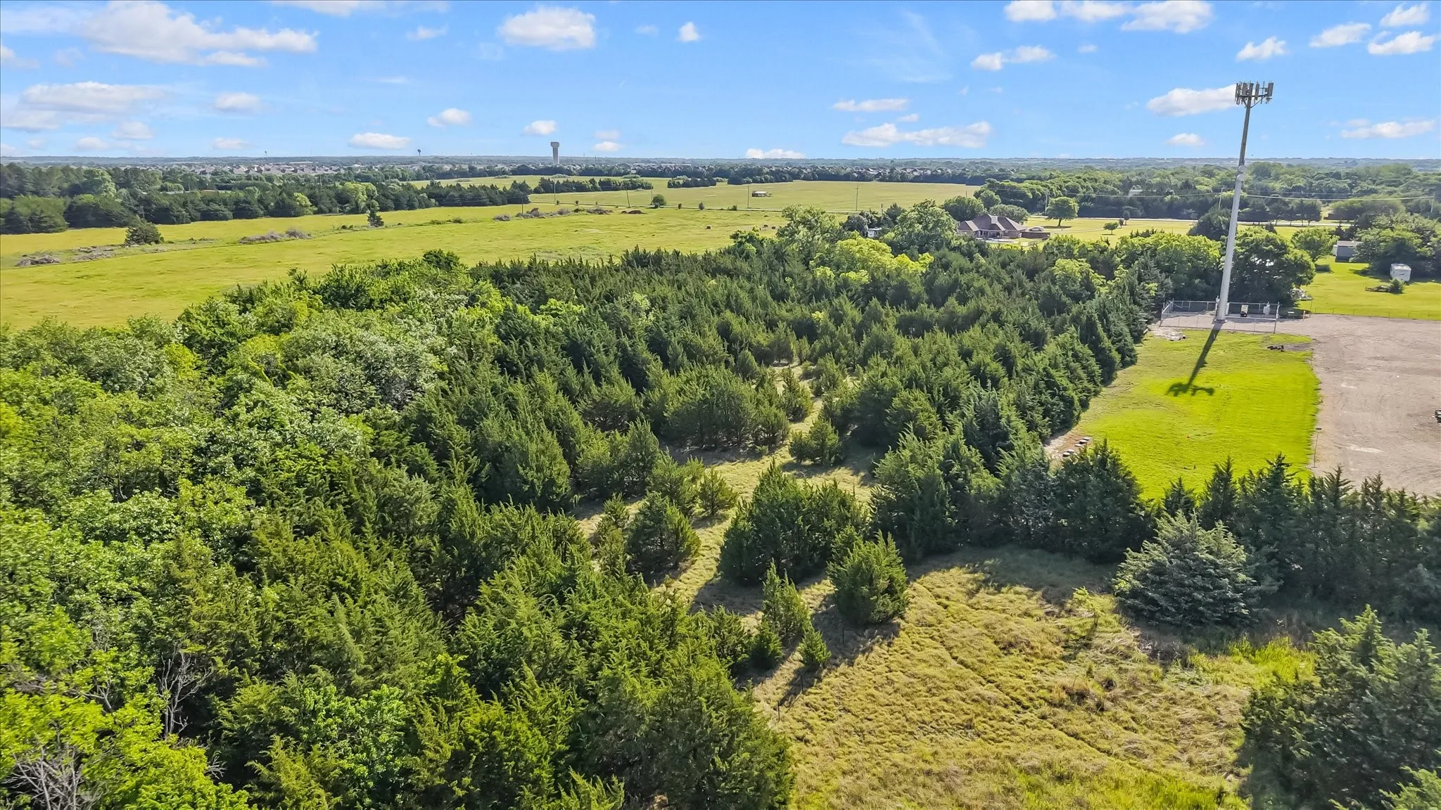 Unimproved Land For Sale in Collin County , 5.5 County Road 551, Farmersville, Texas 75442, 0, 0, Garage spaces, 0 Sqft, built in 0, Price $457,000, mls#21266001, Real Estate Agent in Farmersville, Homes For Sale in Collin county, Homes For Sale in Farmersville, Realtor in Farmersville Texas, Real Estate Brokerage Independent Realty Texas, Luminita Cordes Realtor