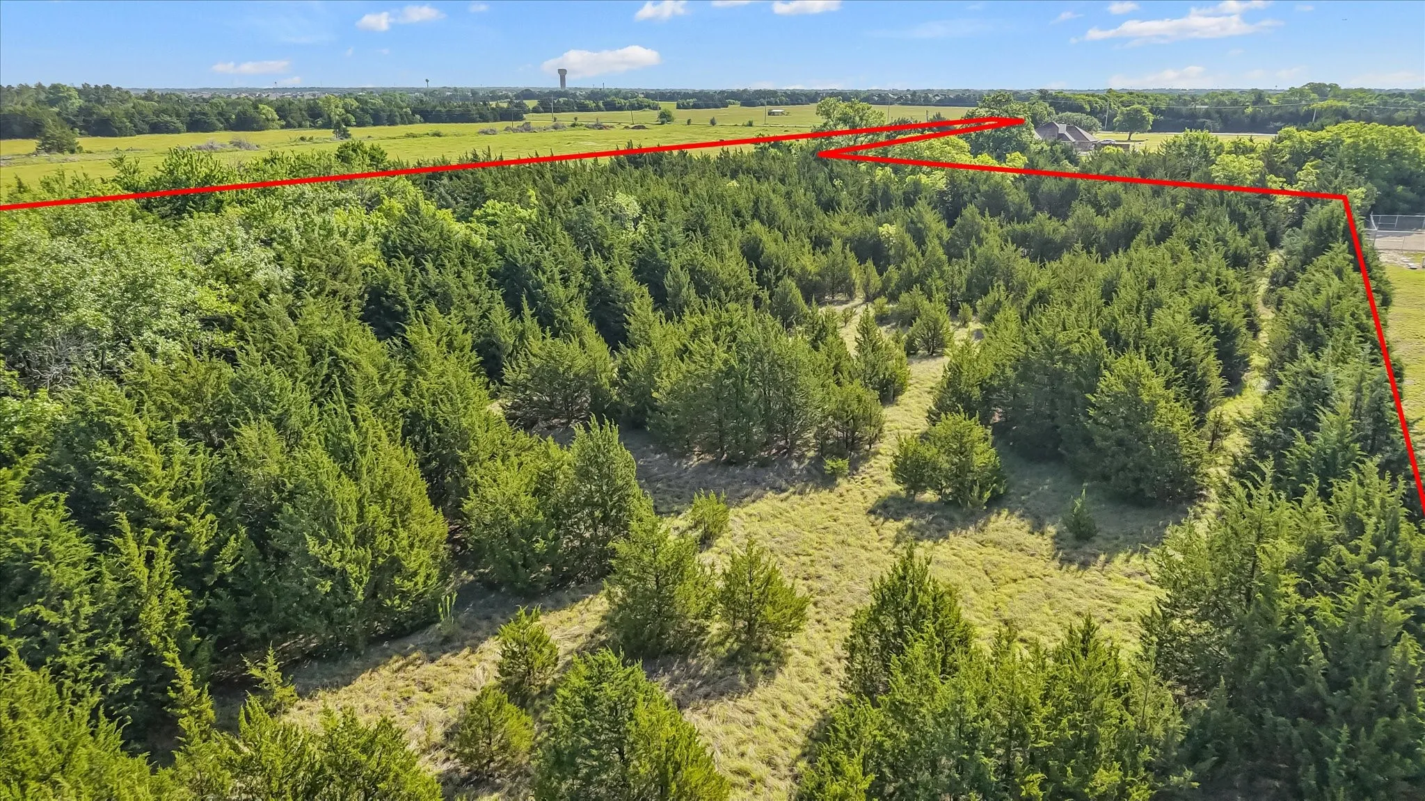 Unimproved Land For Sale in Collin County , 5.5 County Road 551, Farmersville, Texas 75442, 0, 0, Garage spaces, 0 Sqft, built in 0, Price $457,000, mls#21266001, Real Estate Agent in Farmersville, Homes For Sale in Collin county, Homes For Sale in Farmersville, Realtor in Farmersville Texas, Real Estate Brokerage Independent Realty Texas, Luminita Cordes Realtor