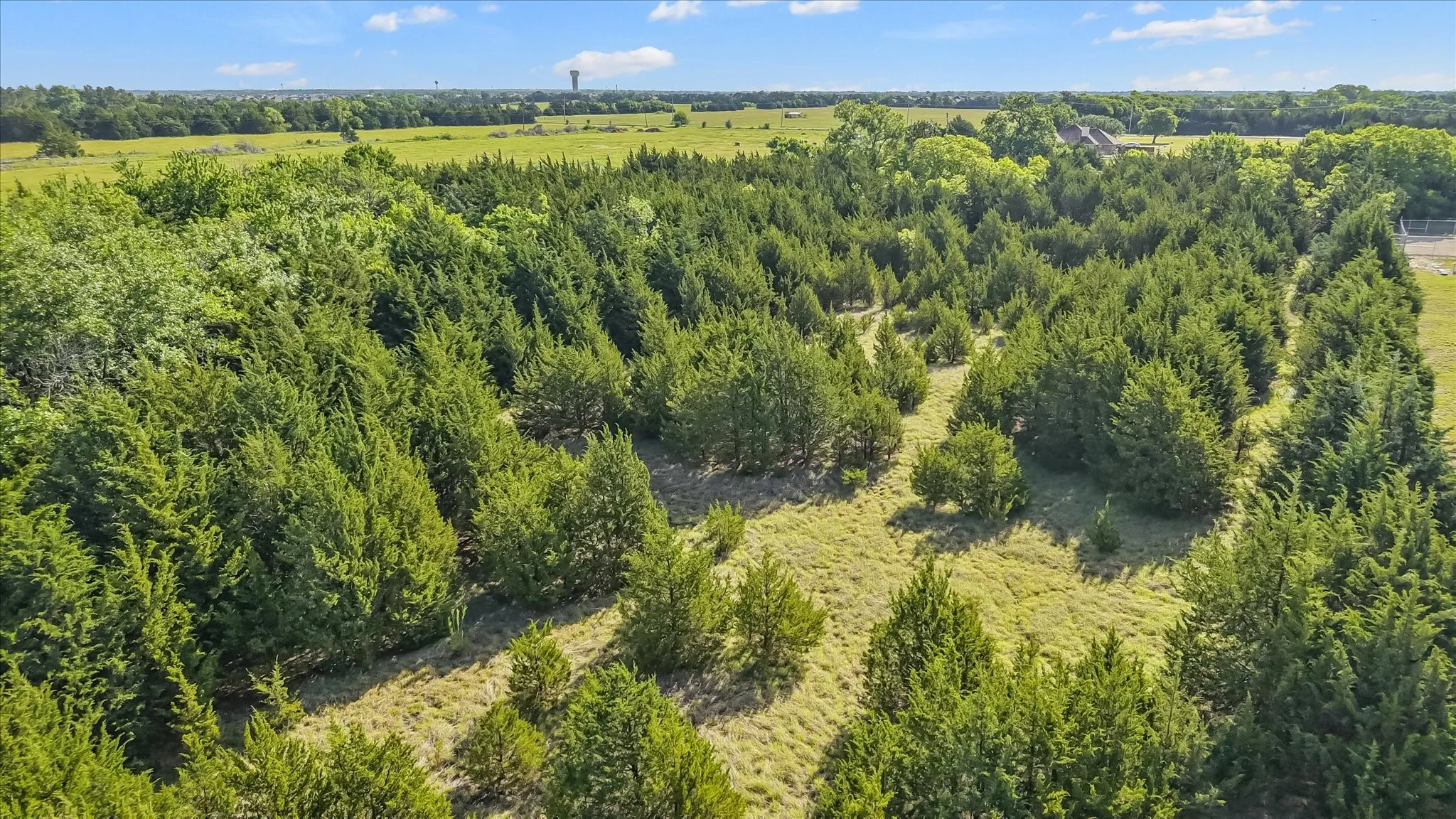 Unimproved Land For Sale in Collin County , 5.5 County Road 551, Farmersville, Texas 75442, 0, 0, Garage spaces, 0 Sqft, built in 0, Price $457,000, mls#21266001, Real Estate Agent in Farmersville, Homes For Sale in Collin county, Homes For Sale in Farmersville, Realtor in Farmersville Texas, Real Estate Brokerage Independent Realty Texas, Luminita Cordes Realtor