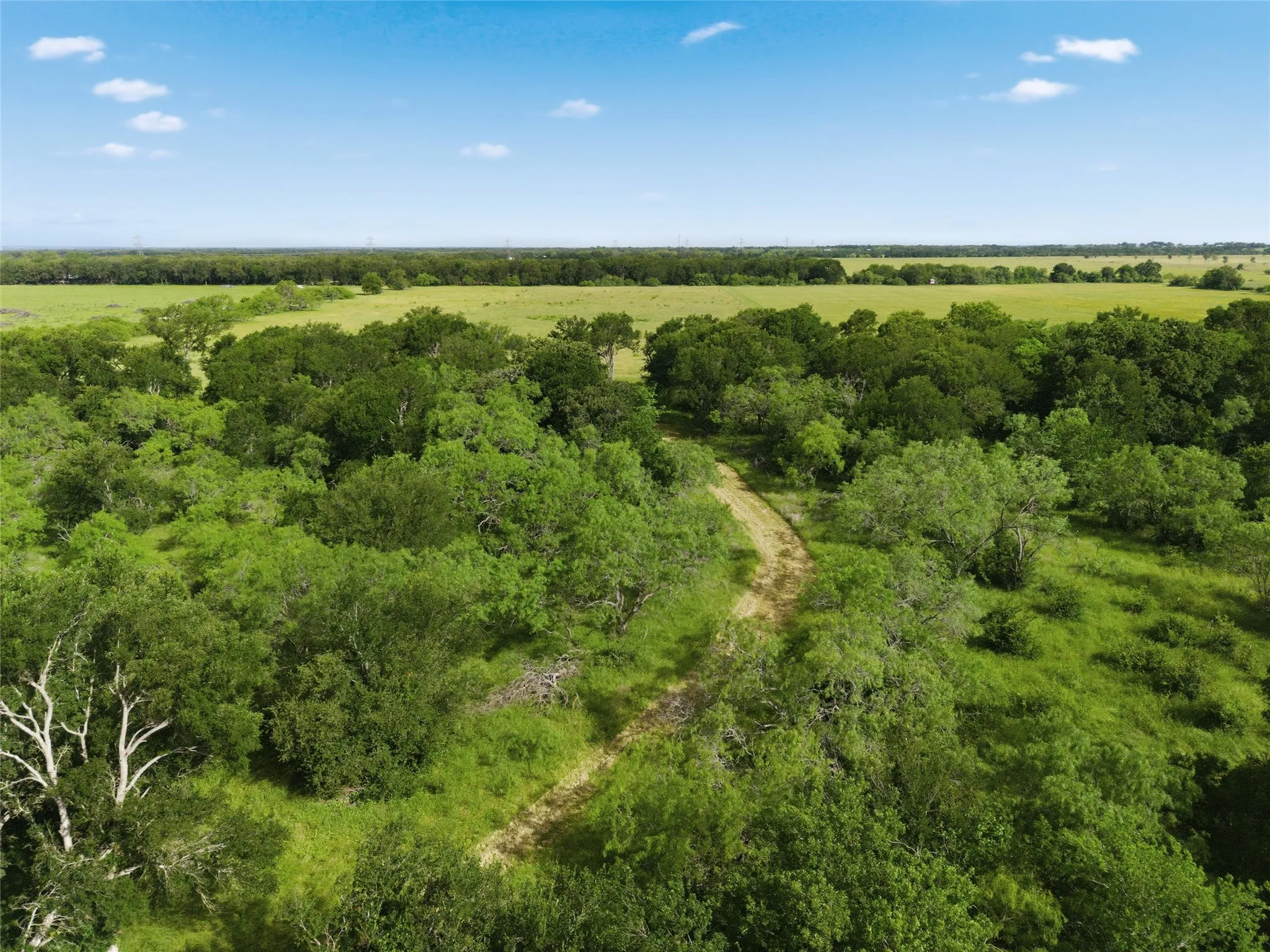 Improved Land For Sale in Mc Lennan County , 1898 Mt Moriah Road, Riesel, Texas 76682, 0, 0, Garage spaces, 0 Sqft, built in 0, mls#21255661, Real Estate Agent in Riesel, Homes For Sale in Mc Lennan county, Homes For Sale in Riesel, Realtor in Riesel Texas, Real Estate Brokerage Independent Realty Texas, Luminita Cordes Realtor