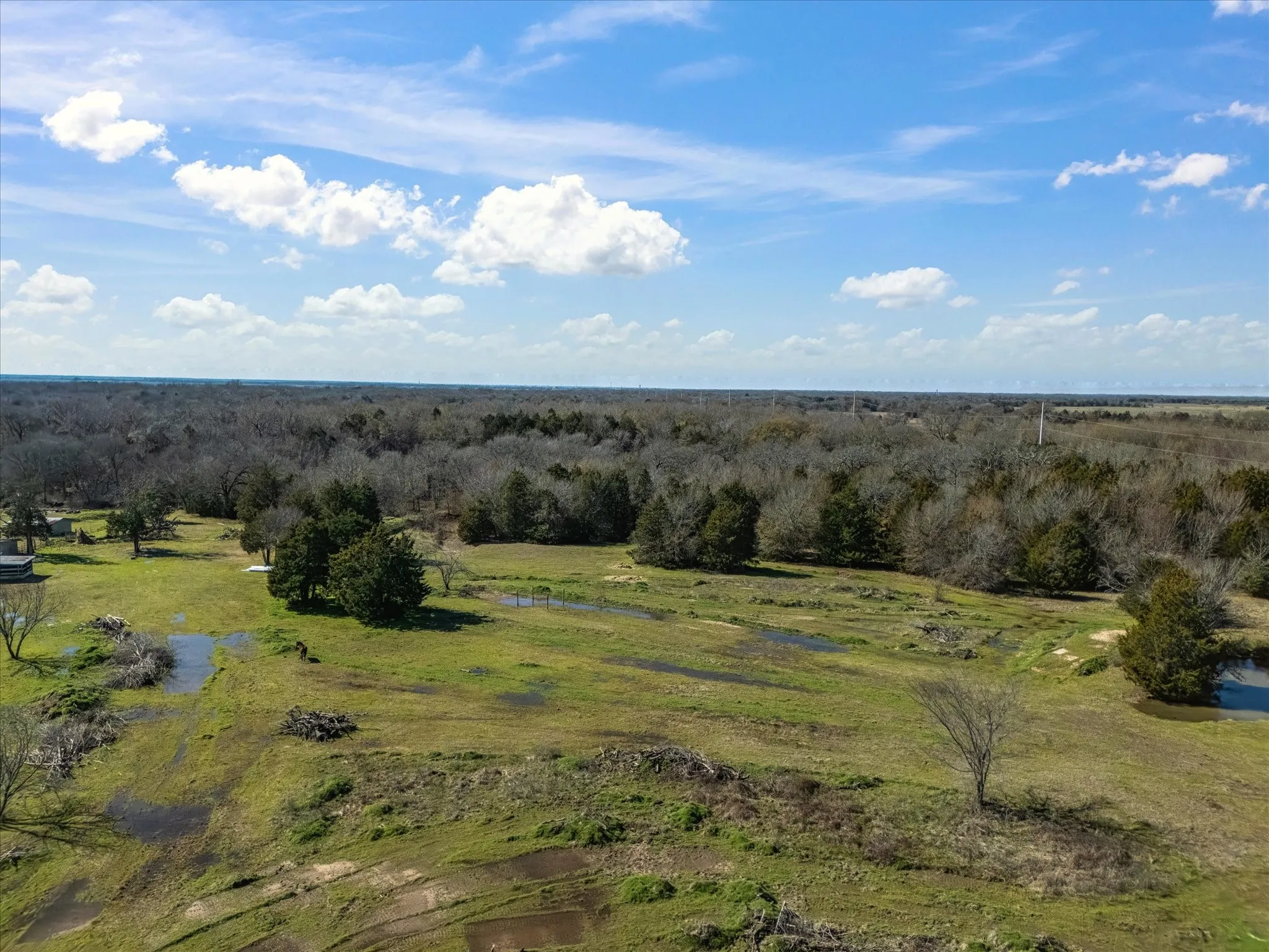 Farm For Sale in Navarro County , 11095 E State Highway 31, Kerens, Texas 75144, 1 Bedroom, 1 Bathroom, Garage spaces, 384 Sqft, built in 2013, Price $655,000, mls#21265819, Real Estate Agent in Kerens, Homes For Sale in Navarro county, Homes For Sale in Kerens, Realtor in Kerens Texas, Real Estate Brokerage Independent Realty Texas, Luminita Cordes Realtor