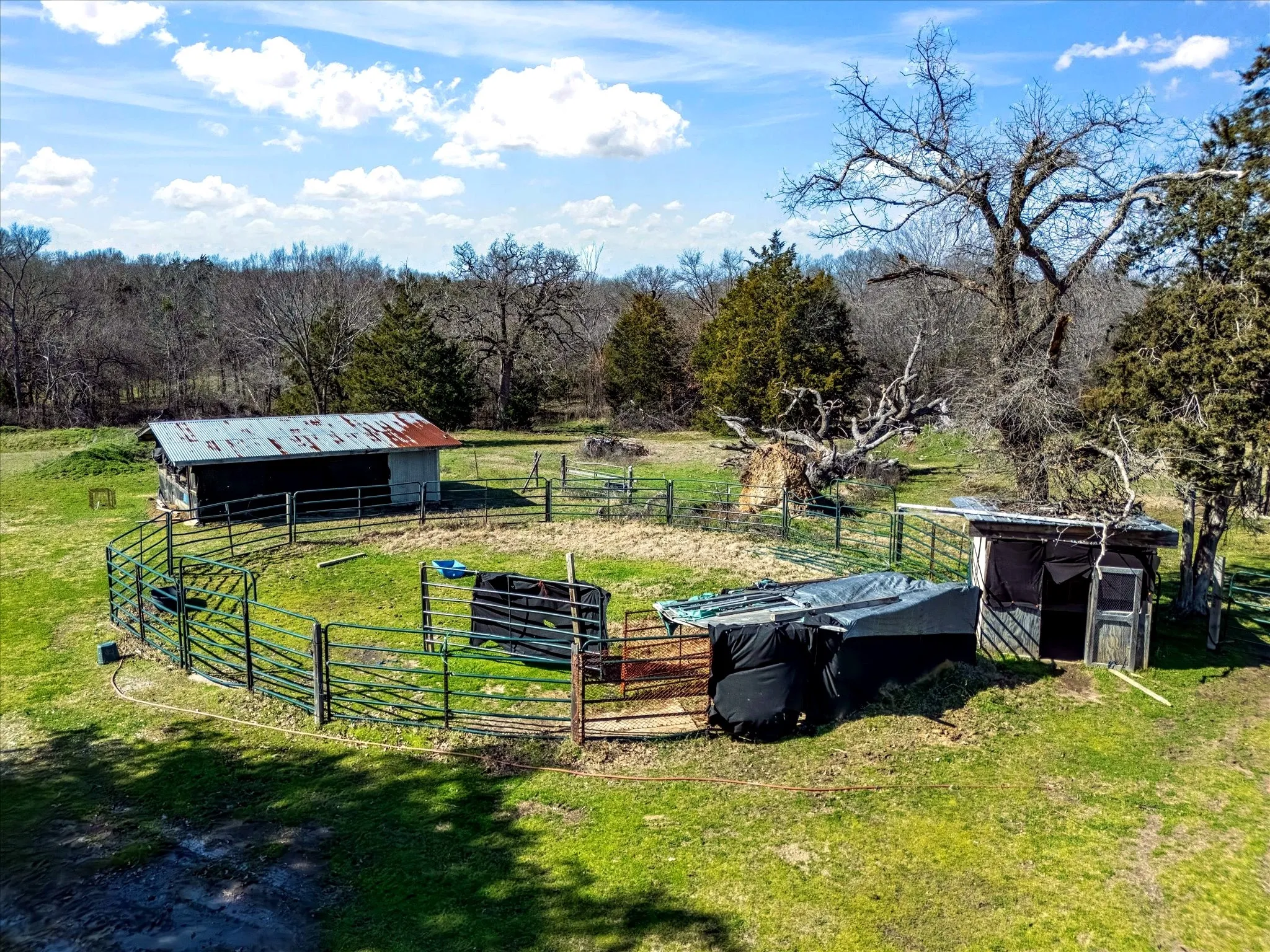 Farm For Sale in Navarro County , 11095 E State Highway 31, Kerens, Texas 75144, 1 Bedroom, 1 Bathroom, Garage spaces, 384 Sqft, built in 2013, Price $655,000, mls#21265819, Real Estate Agent in Kerens, Homes For Sale in Navarro county, Homes For Sale in Kerens, Realtor in Kerens Texas, Real Estate Brokerage Independent Realty Texas, Luminita Cordes Realtor
