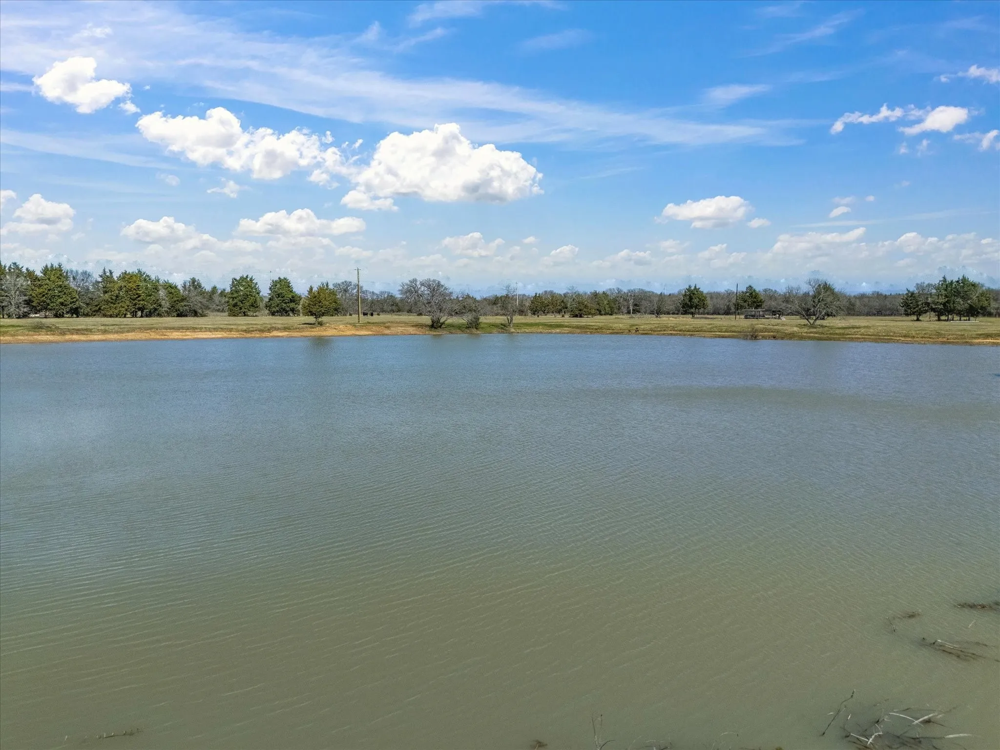 Farm For Sale in Navarro County , 11095 E State Highway 31, Kerens, Texas 75144, 1 Bedroom, 1 Bathroom, Garage spaces, 384 Sqft, built in 2013, Price $655,000, mls#21265819, Real Estate Agent in Kerens, Homes For Sale in Navarro county, Homes For Sale in Kerens, Realtor in Kerens Texas, Real Estate Brokerage Independent Realty Texas, Luminita Cordes Realtor