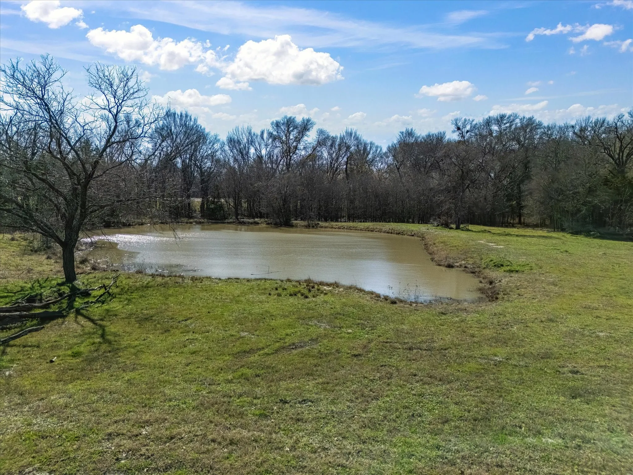 Farm For Sale in Navarro County , 11095 E State Highway 31, Kerens, Texas 75144, 1 Bedroom, 1 Bathroom, Garage spaces, 384 Sqft, built in 2013, Price $655,000, mls#21265819, Real Estate Agent in Kerens, Homes For Sale in Navarro county, Homes For Sale in Kerens, Realtor in Kerens Texas, Real Estate Brokerage Independent Realty Texas, Luminita Cordes Realtor