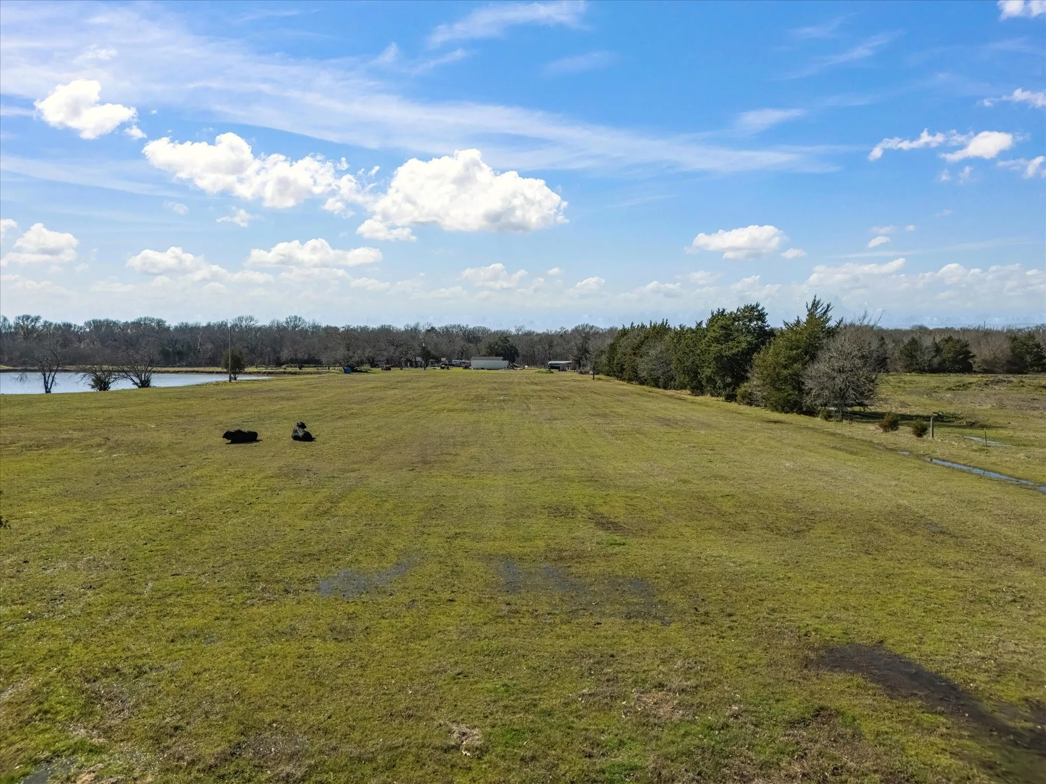 Farm For Sale in Navarro County , 11095 E State Highway 31, Kerens, Texas 75144, 1 Bedroom, 1 Bathroom, Garage spaces, 384 Sqft, built in 2013, Price $655,000, mls#21265819, Real Estate Agent in Kerens, Homes For Sale in Navarro county, Homes For Sale in Kerens, Realtor in Kerens Texas, Real Estate Brokerage Independent Realty Texas, Luminita Cordes Realtor