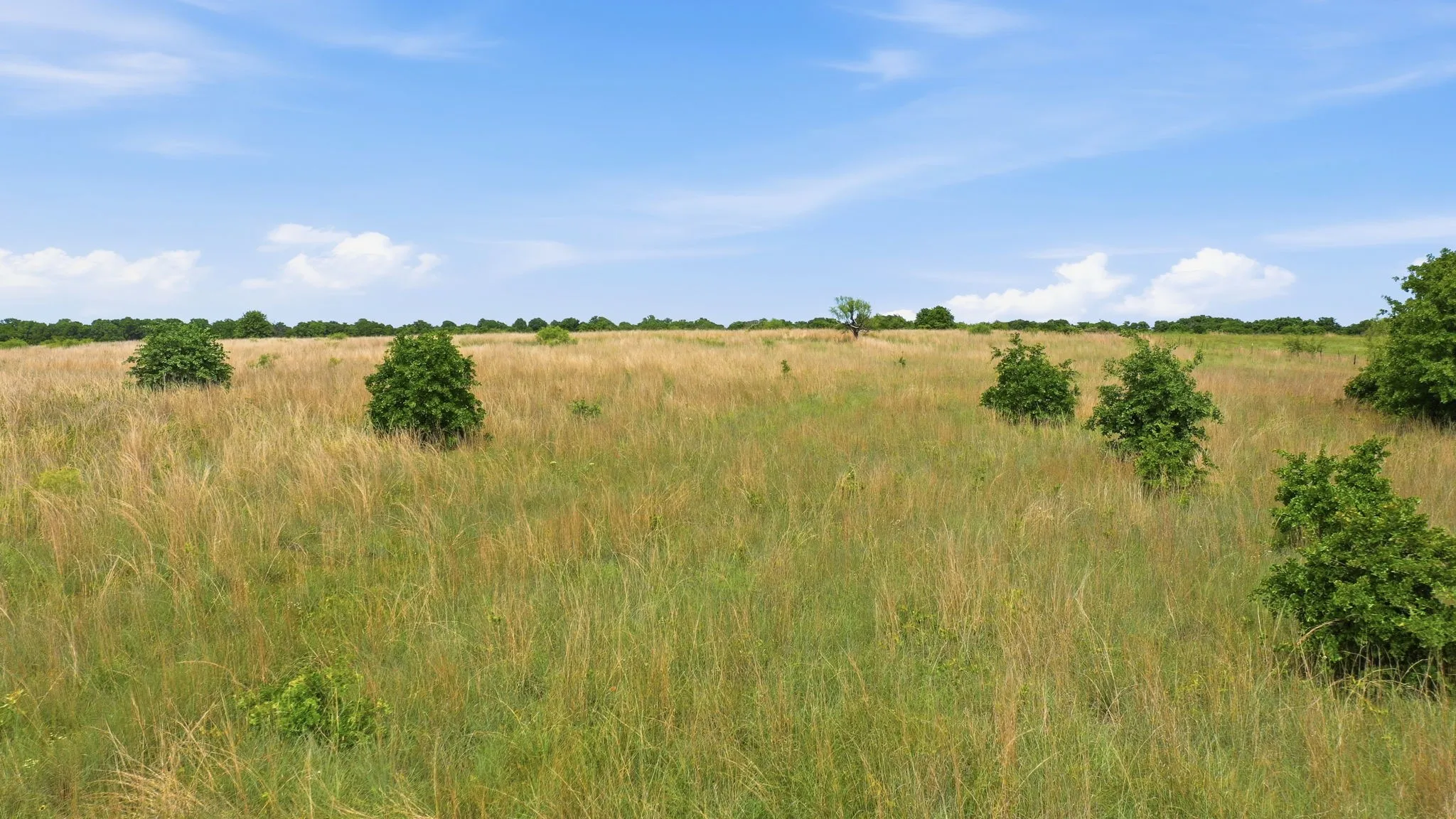 Unimproved Land For Sale in Parker County , 2051 Mustang Ridge, Perrin, Texas 76486, 0, 0, Garage spaces, 0 Sqft, built in 0, mls#21266173, Real Estate Agent in Perrin, Homes For Sale in Parker county, Homes For Sale in Perrin, Realtor in Perrin Texas, Real Estate Brokerage Independent Realty Texas, Luminita Cordes Realtor