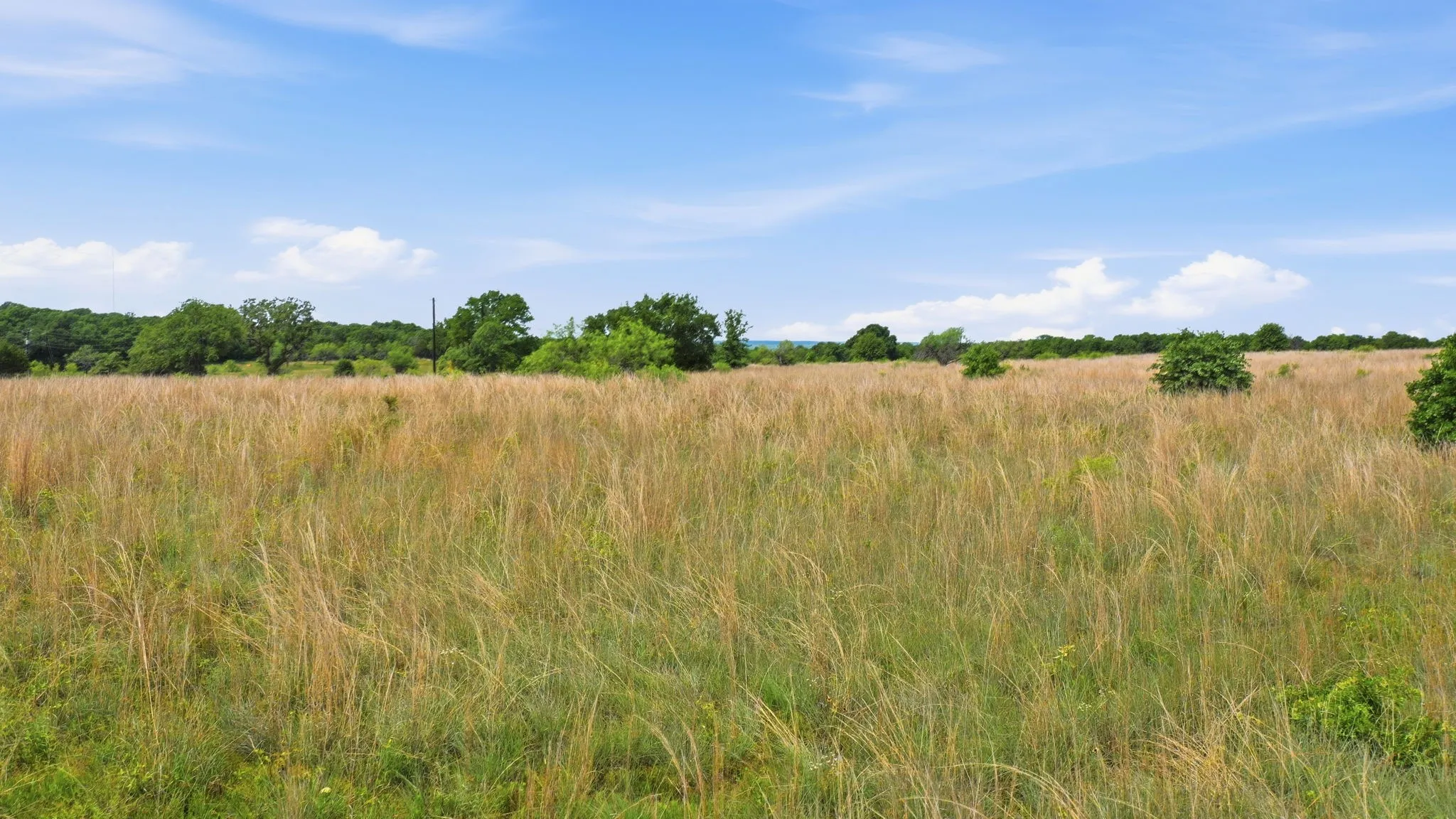 Unimproved Land For Sale in Parker County , 2051 Mustang Ridge, Perrin, Texas 76486, 0, 0, Garage spaces, 0 Sqft, built in 0, mls#21266173, Real Estate Agent in Perrin, Homes For Sale in Parker county, Homes For Sale in Perrin, Realtor in Perrin Texas, Real Estate Brokerage Independent Realty Texas, Luminita Cordes Realtor