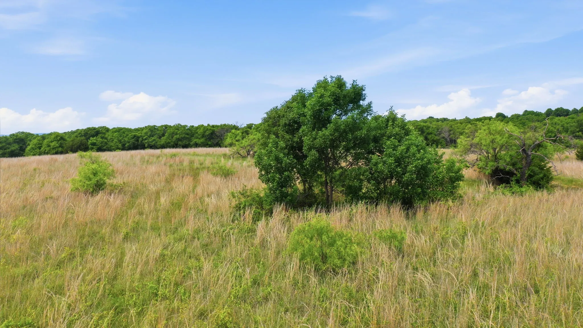 Unimproved Land For Sale in Parker County , 2051 Mustang Ridge, Perrin, Texas 76486, 0, 0, Garage spaces, 0 Sqft, built in 0, mls#21266173, Real Estate Agent in Perrin, Homes For Sale in Parker county, Homes For Sale in Perrin, Realtor in Perrin Texas, Real Estate Brokerage Independent Realty Texas, Luminita Cordes Realtor