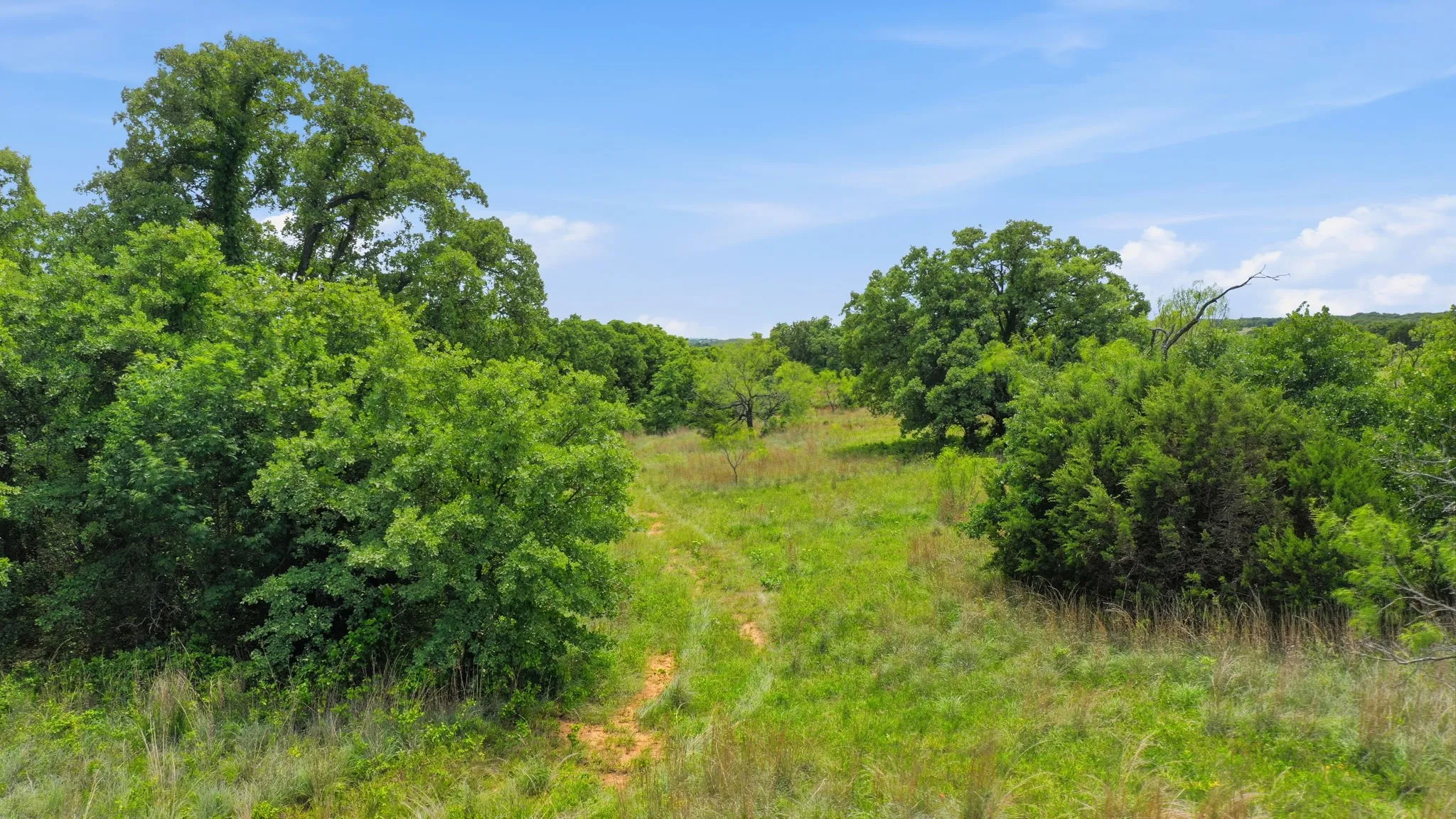 Unimproved Land For Sale in Parker County , 2051 Mustang Ridge, Perrin, Texas 76486, 0, 0, Garage spaces, 0 Sqft, built in 0, mls#21266173, Real Estate Agent in Perrin, Homes For Sale in Parker county, Homes For Sale in Perrin, Realtor in Perrin Texas, Real Estate Brokerage Independent Realty Texas, Luminita Cordes Realtor
