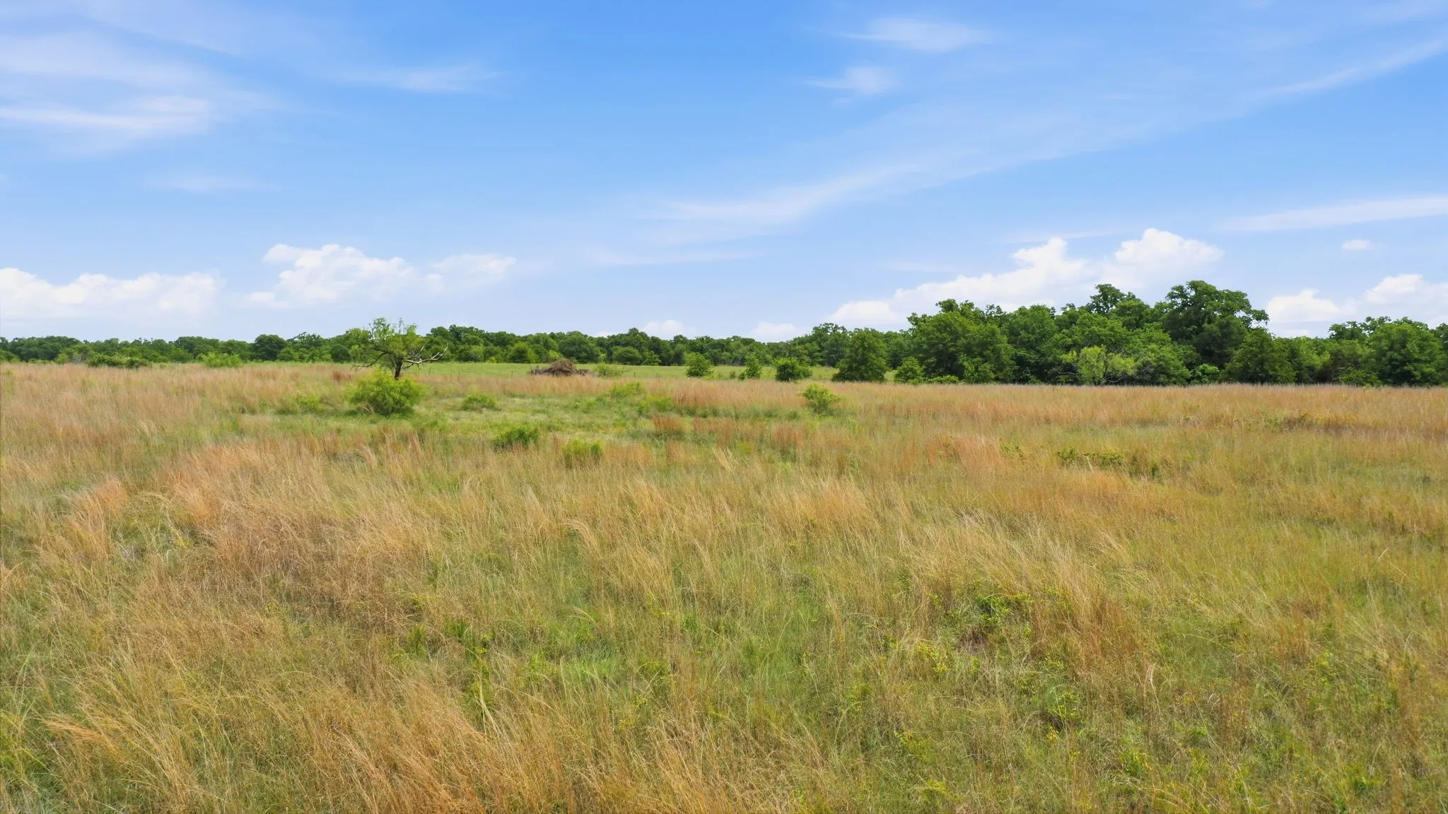Unimproved Land For Sale in Parker County , 2051 Mustang Ridge, Perrin, Texas 76486, 0, 0, Garage spaces, 0 Sqft, built in 0, mls#21266173, Real Estate Agent in Perrin, Homes For Sale in Parker county, Homes For Sale in Perrin, Realtor in Perrin Texas, Real Estate Brokerage Independent Realty Texas, Luminita Cordes Realtor