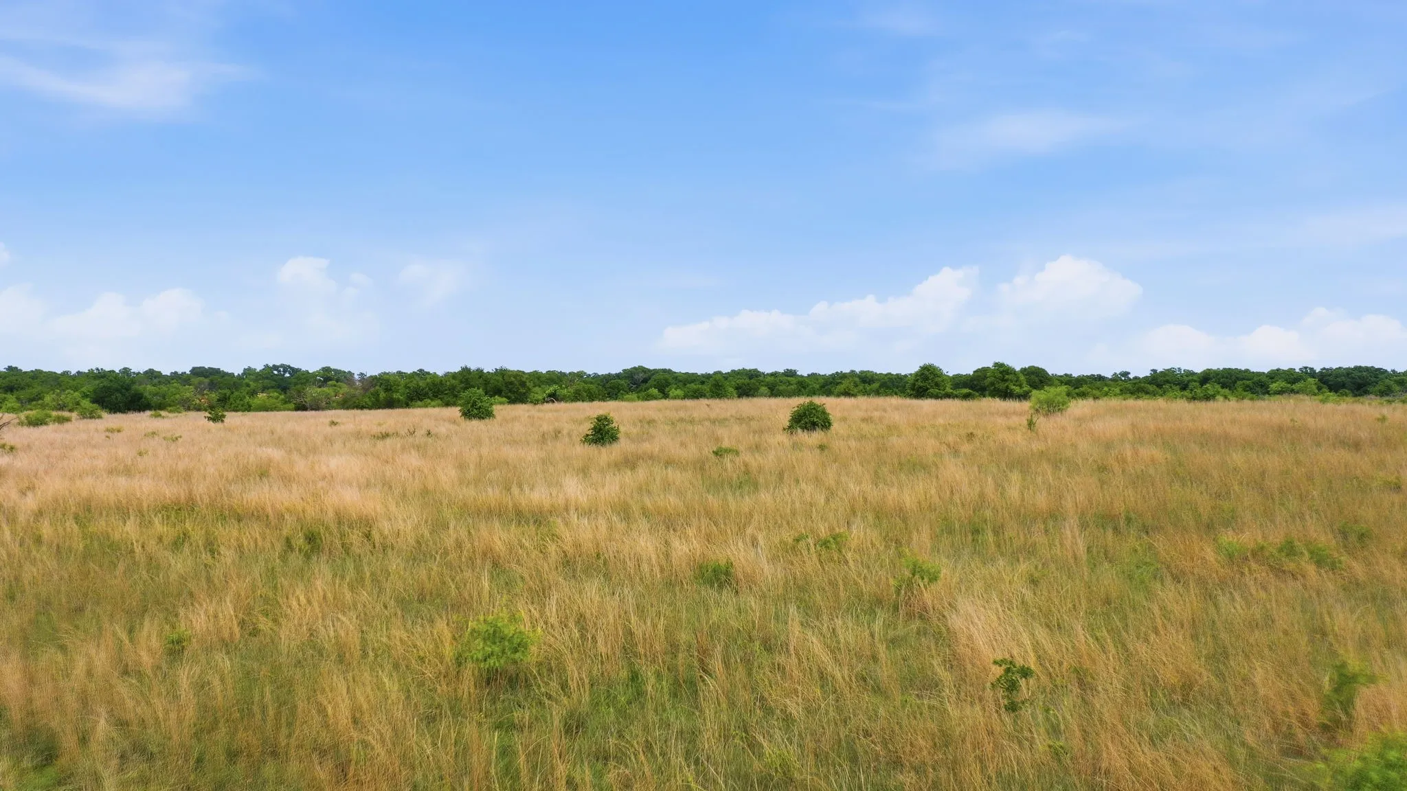 Unimproved Land For Sale in Parker County , 2051 Mustang Ridge, Perrin, Texas 76486, 0, 0, Garage spaces, 0 Sqft, built in 0, mls#21266173, Real Estate Agent in Perrin, Homes For Sale in Parker county, Homes For Sale in Perrin, Realtor in Perrin Texas, Real Estate Brokerage Independent Realty Texas, Luminita Cordes Realtor