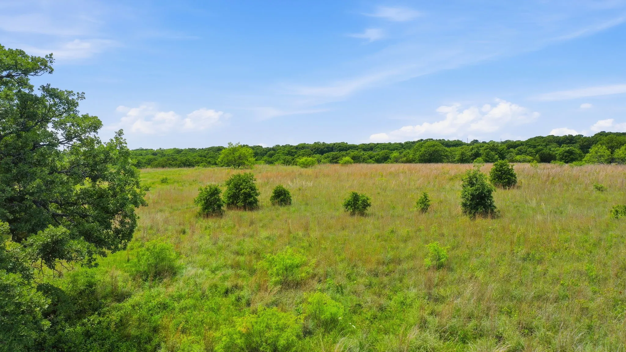 Unimproved Land For Sale in Parker County , 2051 Mustang Ridge, Perrin, Texas 76486, 0, 0, Garage spaces, 0 Sqft, built in 0, mls#21266173, Real Estate Agent in Perrin, Homes For Sale in Parker county, Homes For Sale in Perrin, Realtor in Perrin Texas, Real Estate Brokerage Independent Realty Texas, Luminita Cordes Realtor