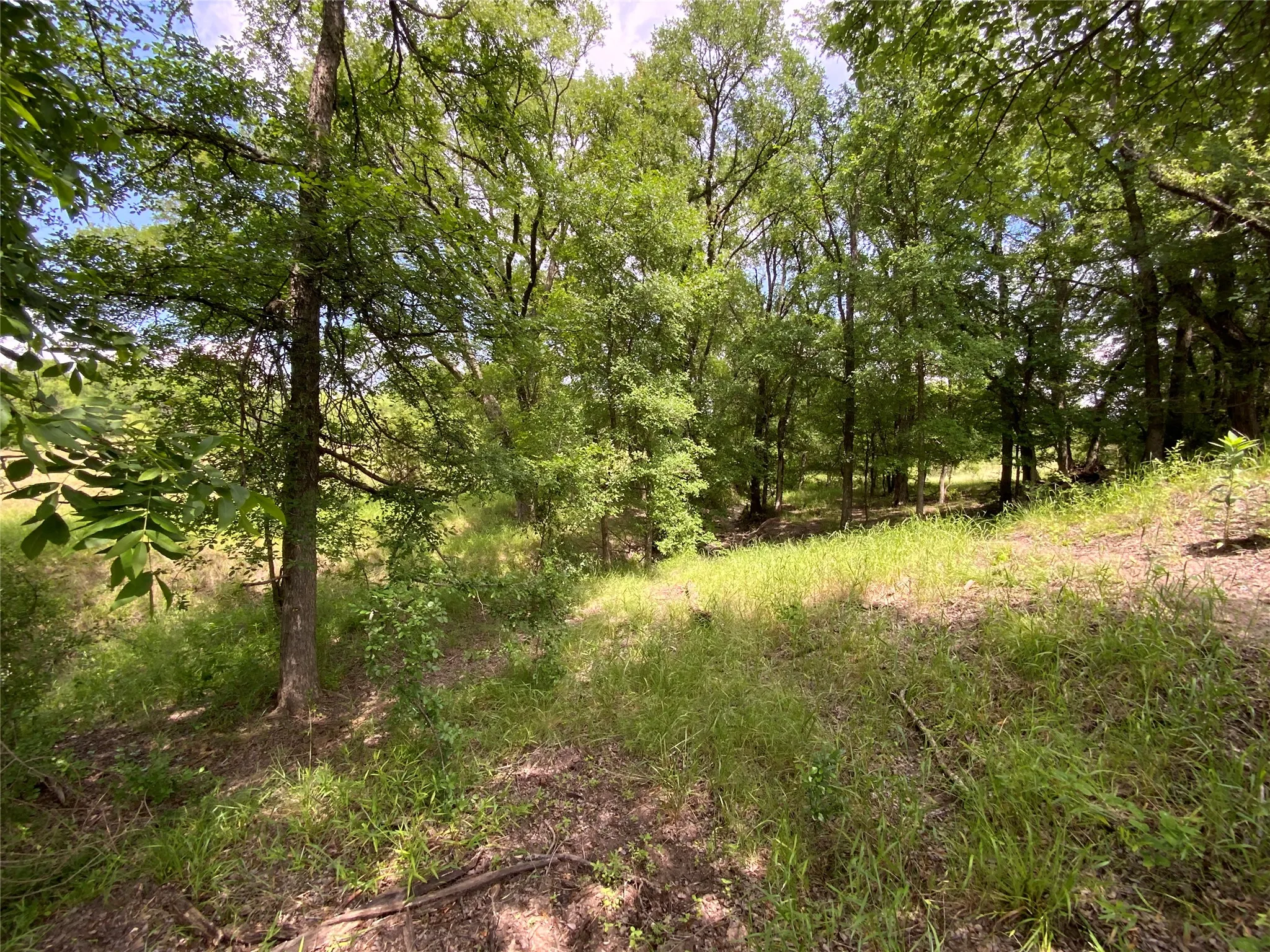 Unimproved Land For Sale in Comanche County , Lot 29 Twisted Creek Drive, Gustine, Texas 76455, 0, 0, Garage spaces, 0 Sqft, built in 0, Price $130,000, mls#21266167, Real Estate Agent in Gustine, Homes For Sale in Comanche county, Homes For Sale in Gustine, Realtor in Gustine Texas, Real Estate Brokerage Independent Realty Texas, Luminita Cordes Realtor