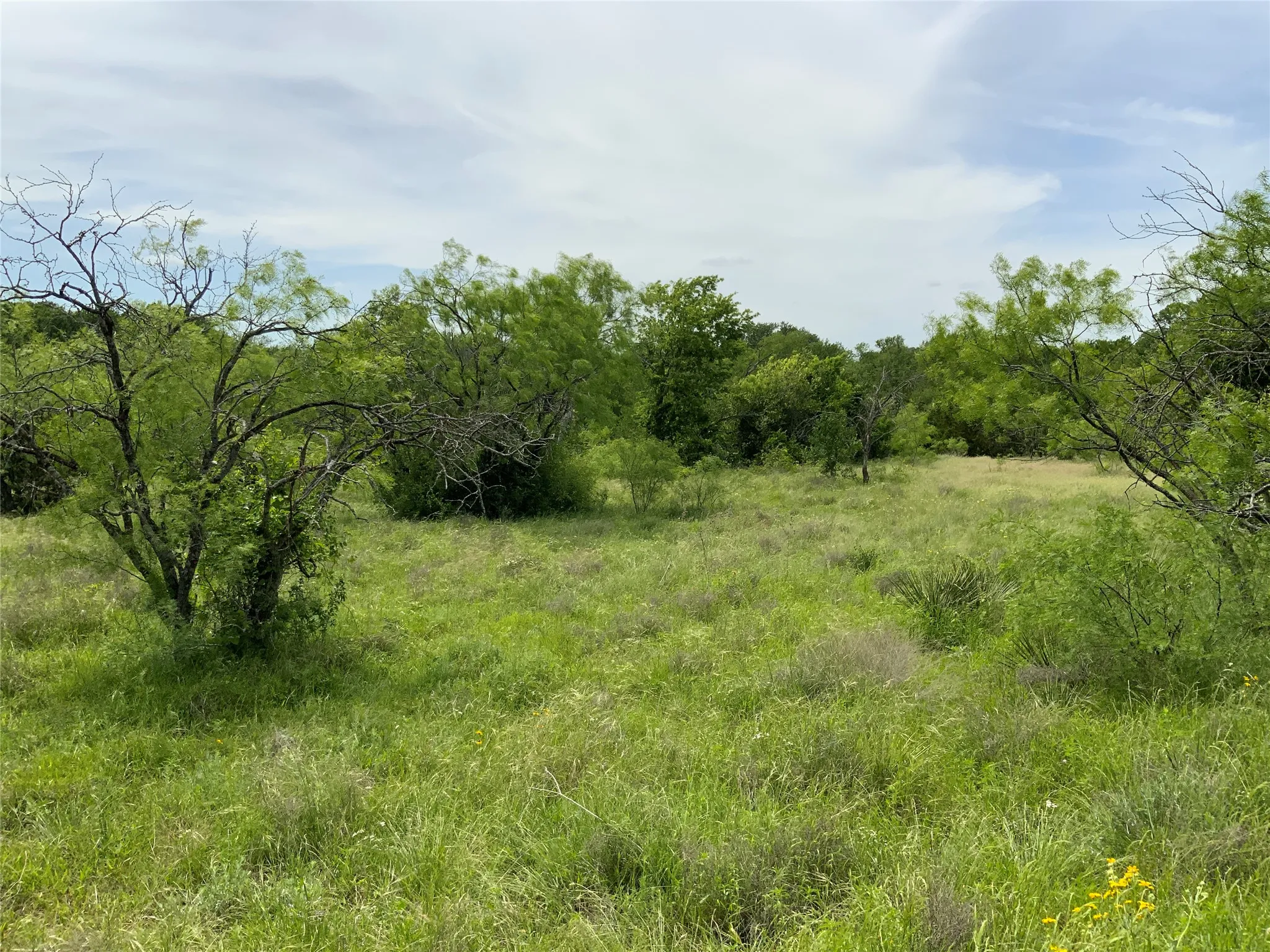Unimproved Land For Sale in Comanche County , Lot 29 Twisted Creek Drive, Gustine, Texas 76455, 0, 0, Garage spaces, 0 Sqft, built in 0, Price $130,000, mls#21266167, Real Estate Agent in Gustine, Homes For Sale in Comanche county, Homes For Sale in Gustine, Realtor in Gustine Texas, Real Estate Brokerage Independent Realty Texas, Luminita Cordes Realtor