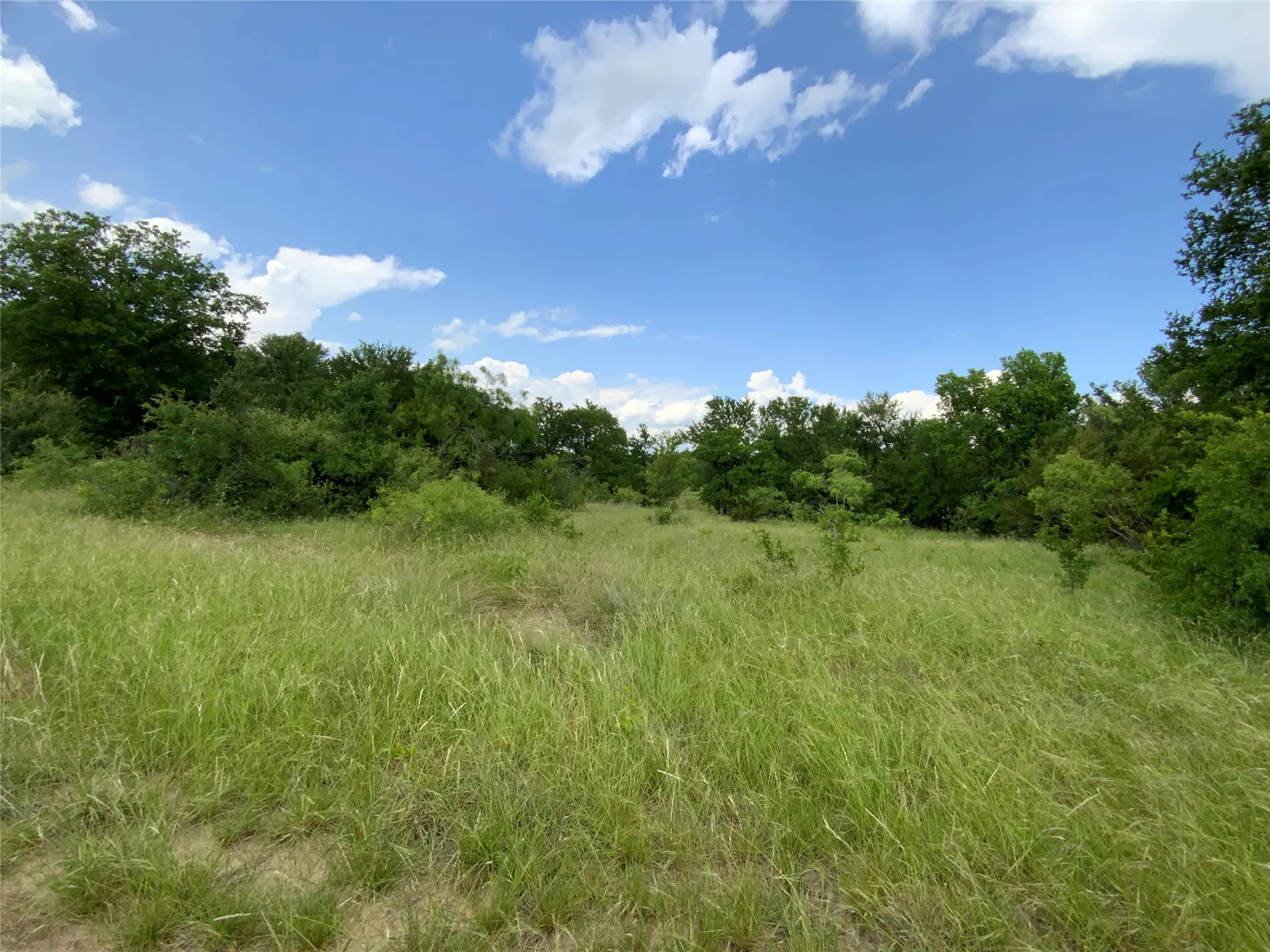 Unimproved Land For Sale in Comanche County , Lot 29 Twisted Creek Drive, Gustine, Texas 76455, 0, 0, Garage spaces, 0 Sqft, built in 0, Price $130,000, mls#21266167, Real Estate Agent in Gustine, Homes For Sale in Comanche county, Homes For Sale in Gustine, Realtor in Gustine Texas, Real Estate Brokerage Independent Realty Texas, Luminita Cordes Realtor