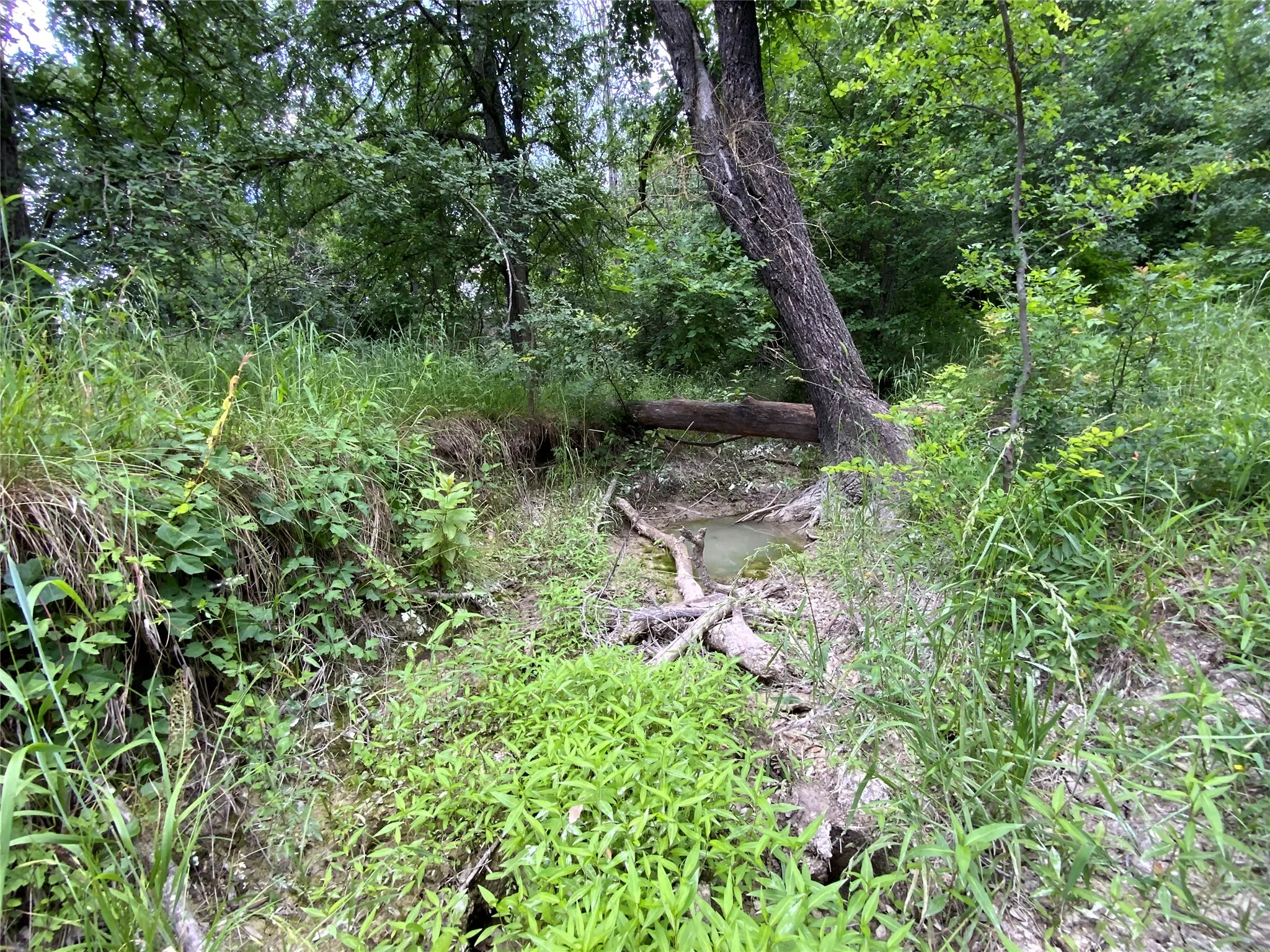 Unimproved Land For Sale in Comanche County , Lot 29 Twisted Creek Drive, Gustine, Texas 76455, 0, 0, Garage spaces, 0 Sqft, built in 0, Price $130,000, mls#21266167, Real Estate Agent in Gustine, Homes For Sale in Comanche county, Homes For Sale in Gustine, Realtor in Gustine Texas, Real Estate Brokerage Independent Realty Texas, Luminita Cordes Realtor