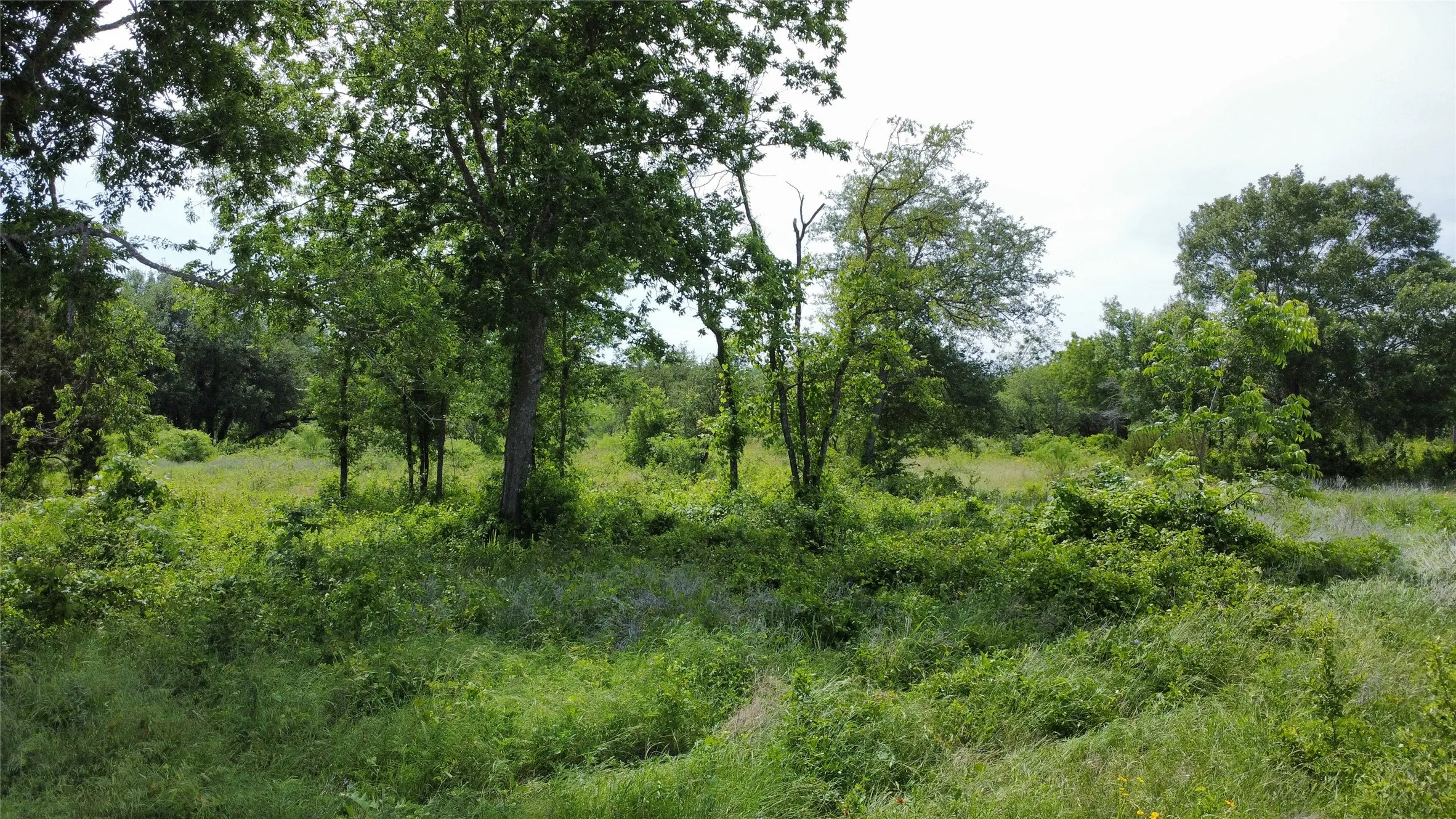 Unimproved Land For Sale in Comanche County , Lot 29 Twisted Creek Drive, Gustine, Texas 76455, 0, 0, Garage spaces, 0 Sqft, built in 0, Price $130,000, mls#21266167, Real Estate Agent in Gustine, Homes For Sale in Comanche county, Homes For Sale in Gustine, Realtor in Gustine Texas, Real Estate Brokerage Independent Realty Texas, Luminita Cordes Realtor