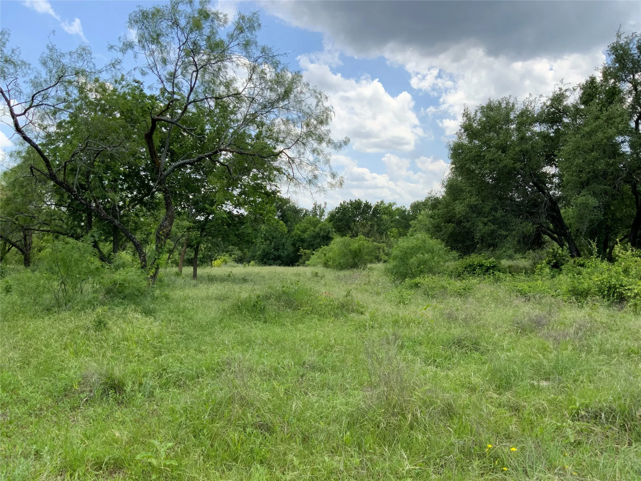 Unimproved Land For Sale in Comanche County , Lot 29 Twisted Creek Drive, Gustine, Texas 76455, 0, 0, Garage spaces, 0 Sqft, built in 0, Price $130,000, mls#21266167, Real Estate Agent in Gustine, Homes For Sale in Comanche county, Homes For Sale in Gustine, Realtor in Gustine Texas, Real Estate Brokerage Independent Realty Texas, Luminita Cordes Realtor