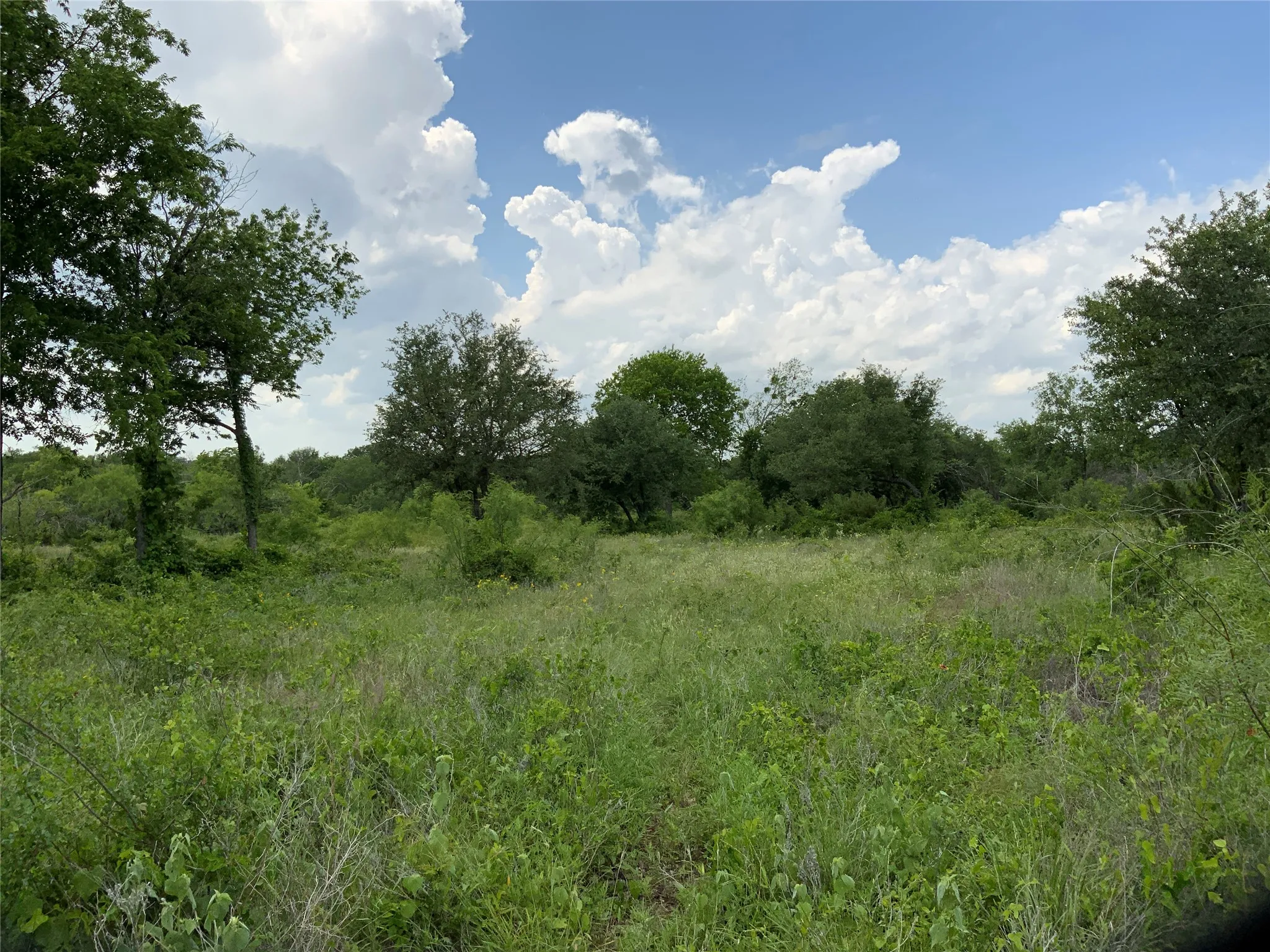 Unimproved Land For Sale in Comanche County , Lot 29 Twisted Creek Drive, Gustine, Texas 76455, 0, 0, Garage spaces, 0 Sqft, built in 0, Price $130,000, mls#21266167, Real Estate Agent in Gustine, Homes For Sale in Comanche county, Homes For Sale in Gustine, Realtor in Gustine Texas, Real Estate Brokerage Independent Realty Texas, Luminita Cordes Realtor