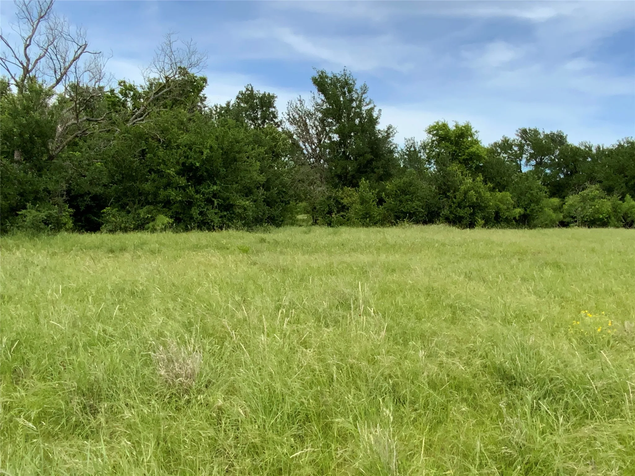Unimproved Land For Sale in Comanche County , Lot 29 Twisted Creek Drive, Gustine, Texas 76455, 0, 0, Garage spaces, 0 Sqft, built in 0, Price $130,000, mls#21266167, Real Estate Agent in Gustine, Homes For Sale in Comanche county, Homes For Sale in Gustine, Realtor in Gustine Texas, Real Estate Brokerage Independent Realty Texas, Luminita Cordes Realtor