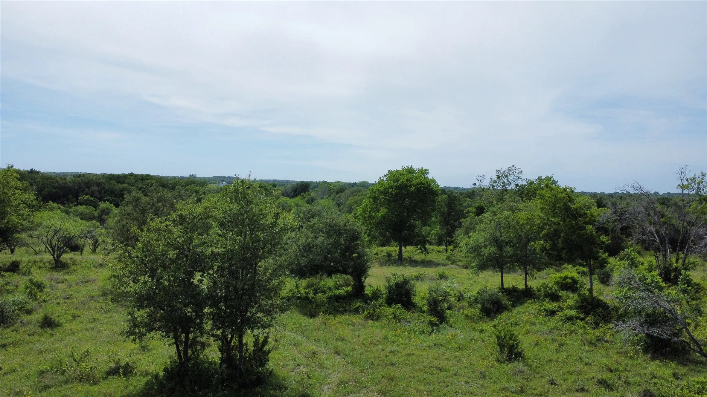 Unimproved Land For Sale in Comanche County , Lot 29 Twisted Creek Drive, Gustine, Texas 76455, 0, 0, Garage spaces, 0 Sqft, built in 0, Price $130,000, mls#21266167, Real Estate Agent in Gustine, Homes For Sale in Comanche county, Homes For Sale in Gustine, Realtor in Gustine Texas, Real Estate Brokerage Independent Realty Texas, Luminita Cordes Realtor