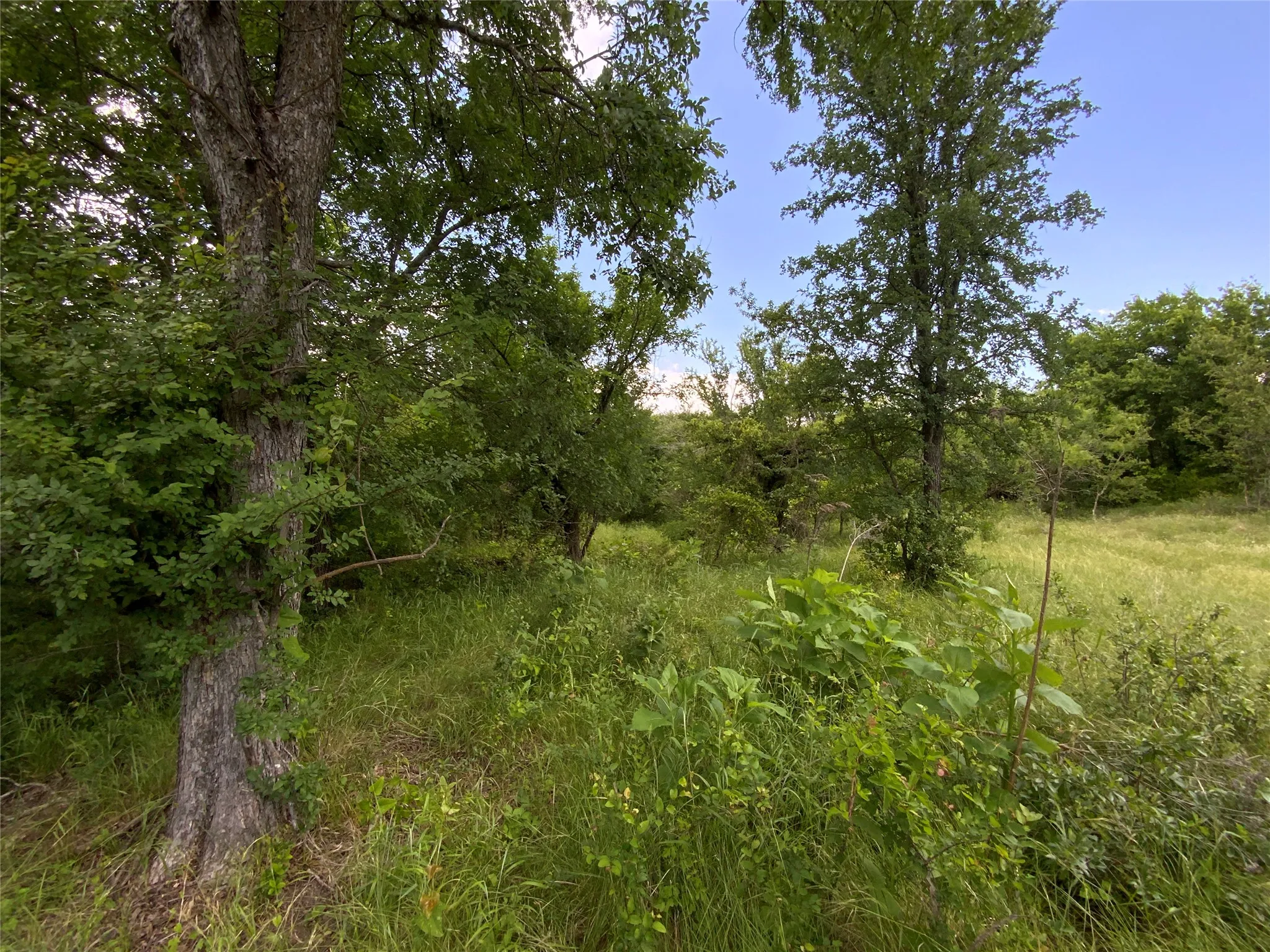 Unimproved Land For Sale in Comanche County , Lot 29 Twisted Creek Drive, Gustine, Texas 76455, 0, 0, Garage spaces, 0 Sqft, built in 0, Price $130,000, mls#21266167, Real Estate Agent in Gustine, Homes For Sale in Comanche county, Homes For Sale in Gustine, Realtor in Gustine Texas, Real Estate Brokerage Independent Realty Texas, Luminita Cordes Realtor