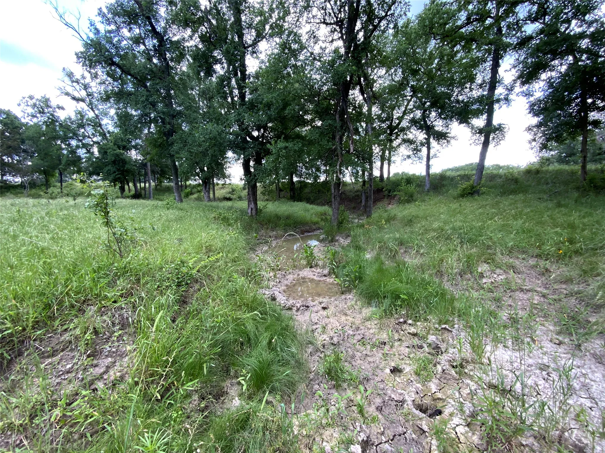 Unimproved Land For Sale in Comanche County , Lot 29 Twisted Creek Drive, Gustine, Texas 76455, 0, 0, Garage spaces, 0 Sqft, built in 0, Price $130,000, mls#21266167, Real Estate Agent in Gustine, Homes For Sale in Comanche county, Homes For Sale in Gustine, Realtor in Gustine Texas, Real Estate Brokerage Independent Realty Texas, Luminita Cordes Realtor
