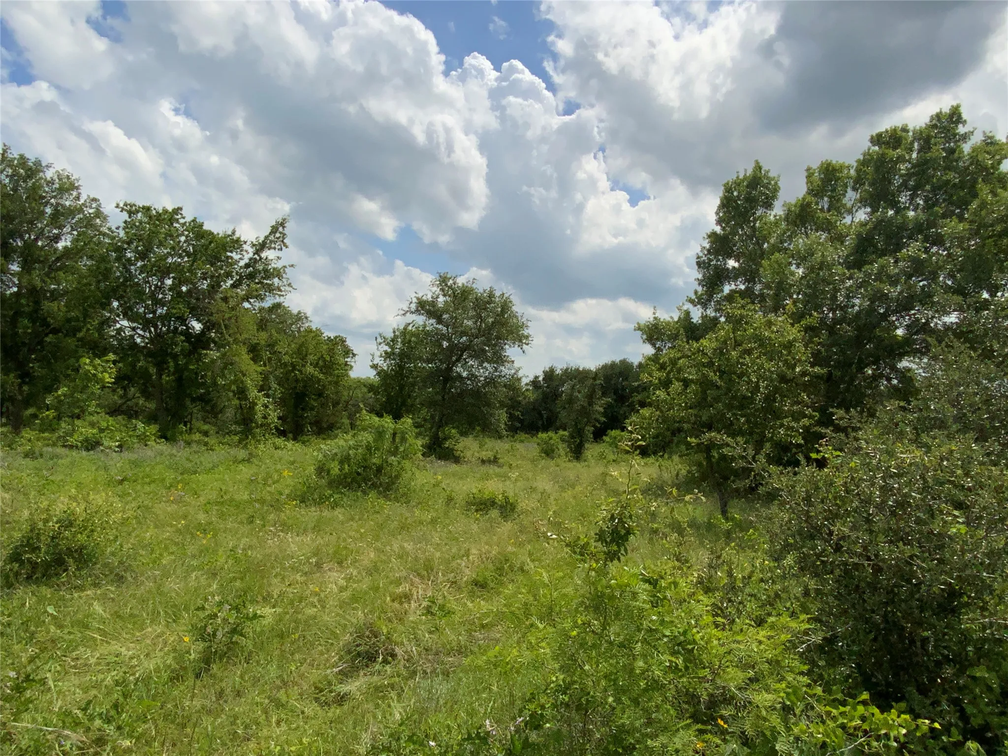 Unimproved Land For Sale in Comanche County , Lot 29 Twisted Creek Drive, Gustine, Texas 76455, 0, 0, Garage spaces, 0 Sqft, built in 0, Price $130,000, mls#21266167, Real Estate Agent in Gustine, Homes For Sale in Comanche county, Homes For Sale in Gustine, Realtor in Gustine Texas, Real Estate Brokerage Independent Realty Texas, Luminita Cordes Realtor
