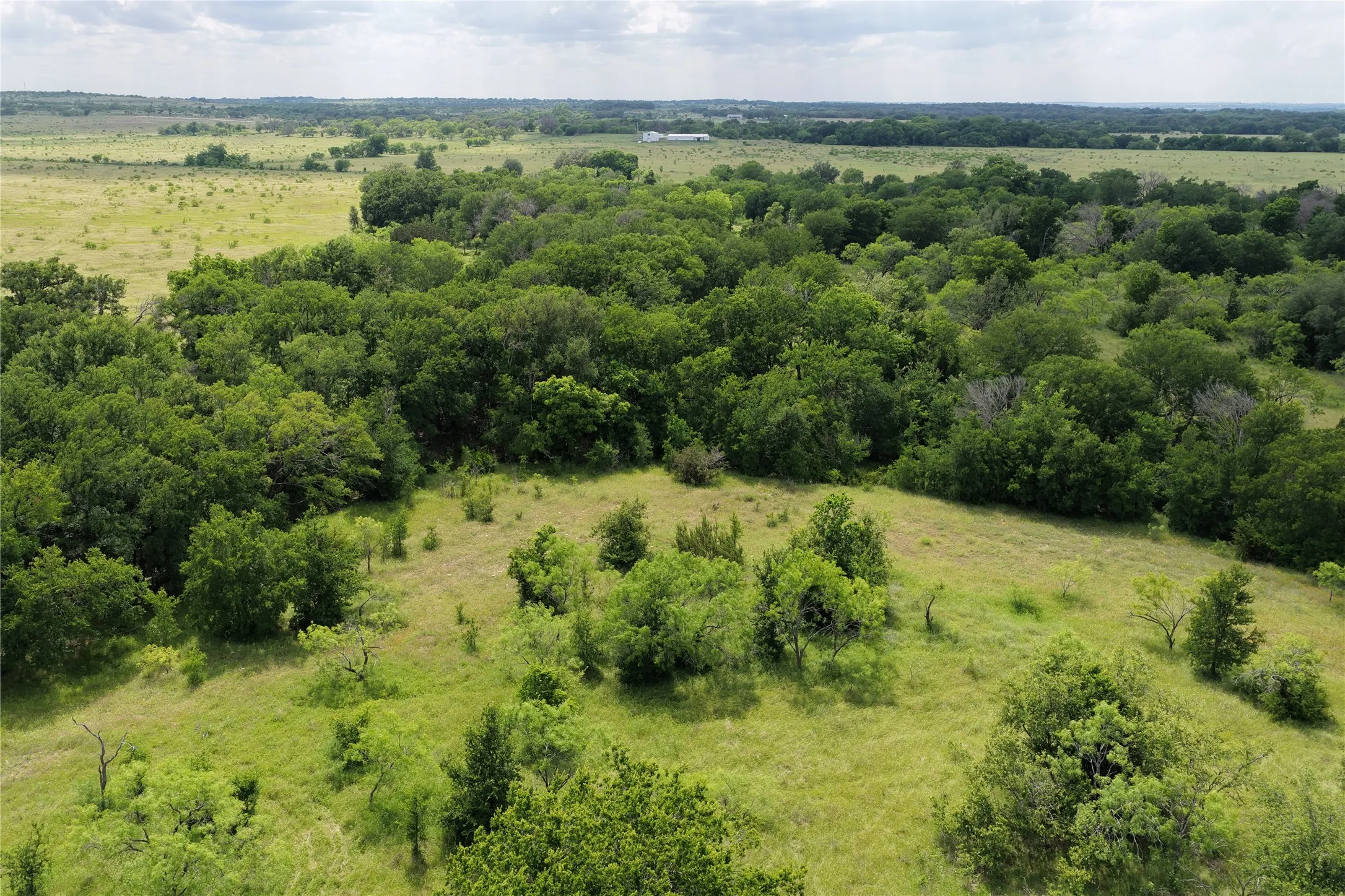 Unimproved Land For Sale in Comanche County , Lot 29 Twisted Creek Drive, Gustine, Texas 76455, 0, 0, Garage spaces, 0 Sqft, built in 0, Price $130,000, mls#21266167, Real Estate Agent in Gustine, Homes For Sale in Comanche county, Homes For Sale in Gustine, Realtor in Gustine Texas, Real Estate Brokerage Independent Realty Texas, Luminita Cordes Realtor