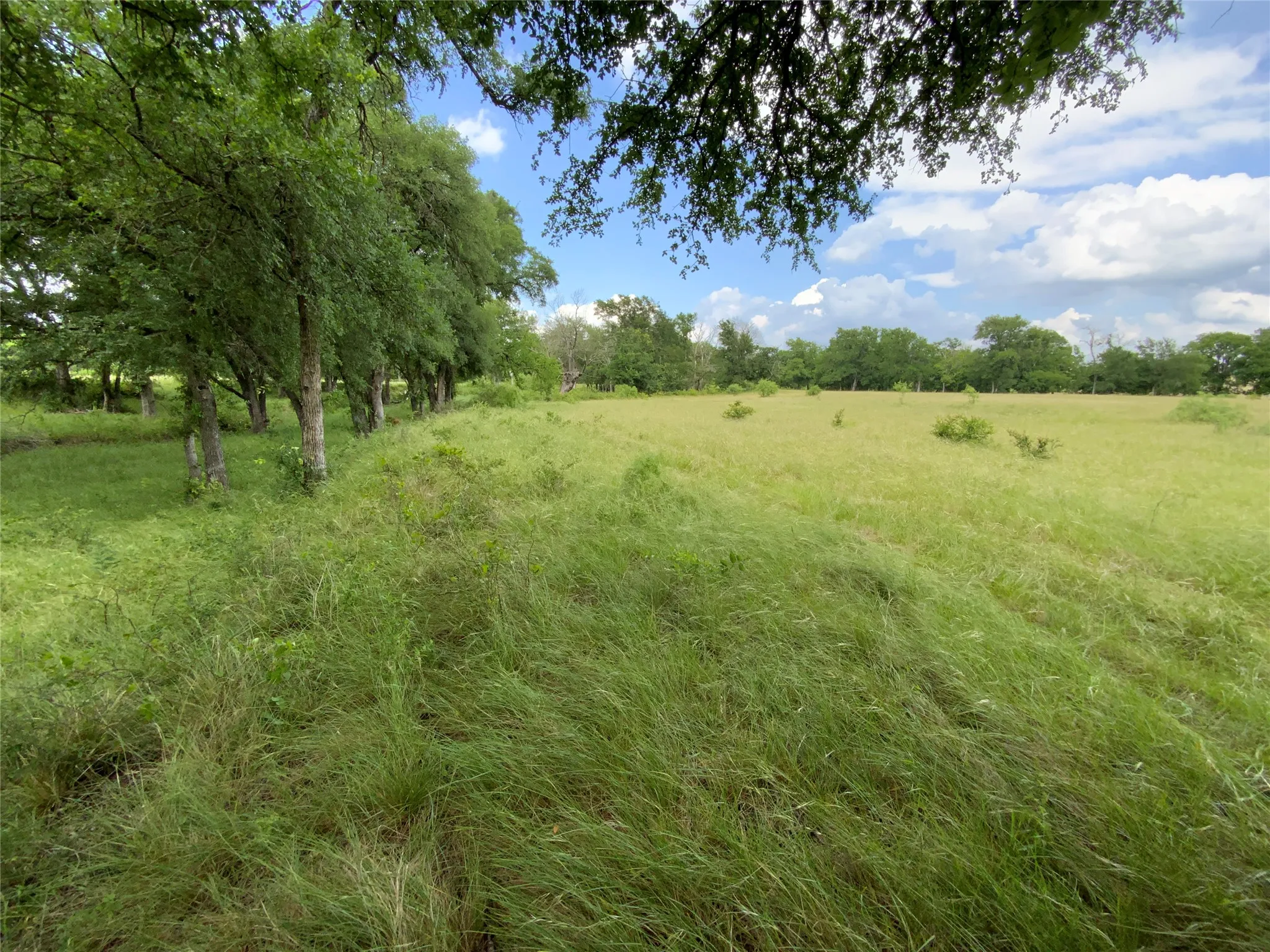 Unimproved Land For Sale in Comanche County , Lot 29 Twisted Creek Drive, Gustine, Texas 76455, 0, 0, Garage spaces, 0 Sqft, built in 0, Price $130,000, mls#21266167, Real Estate Agent in Gustine, Homes For Sale in Comanche county, Homes For Sale in Gustine, Realtor in Gustine Texas, Real Estate Brokerage Independent Realty Texas, Luminita Cordes Realtor