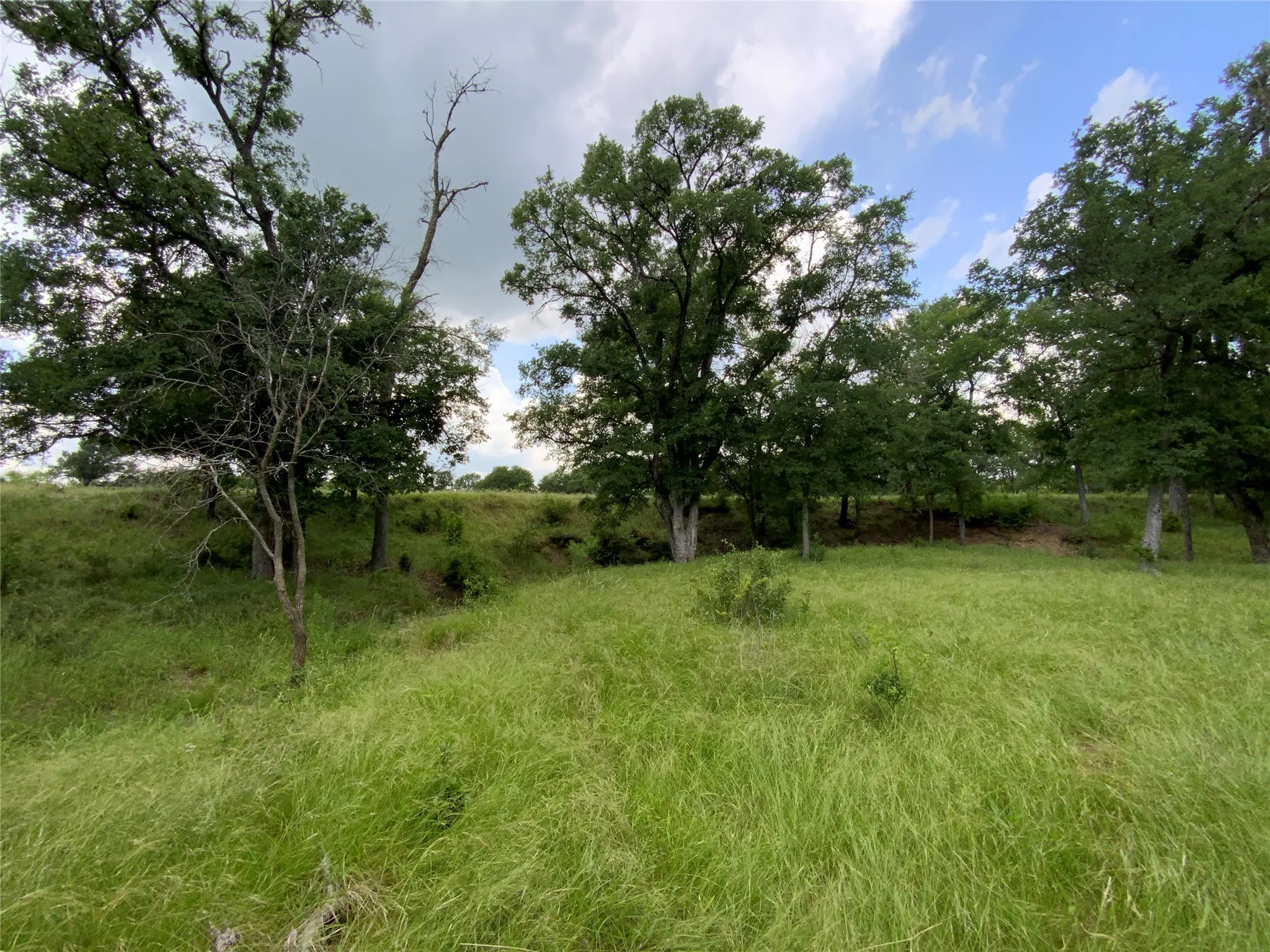 Unimproved Land For Sale in Comanche County , Lot 29 Twisted Creek Drive, Gustine, Texas 76455, 0, 0, Garage spaces, 0 Sqft, built in 0, Price $130,000, mls#21266167, Real Estate Agent in Gustine, Homes For Sale in Comanche county, Homes For Sale in Gustine, Realtor in Gustine Texas, Real Estate Brokerage Independent Realty Texas, Luminita Cordes Realtor