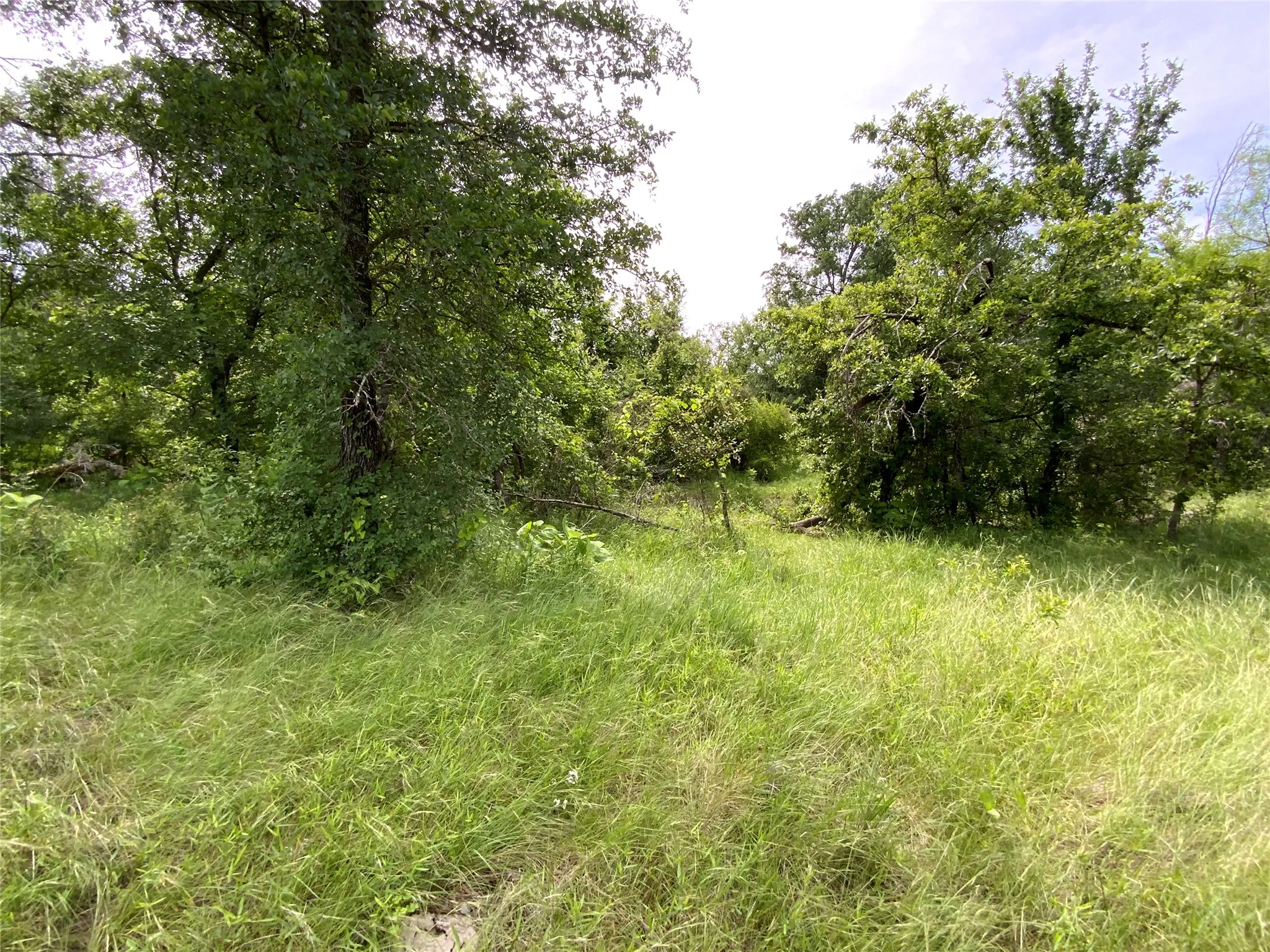 Unimproved Land For Sale in Comanche County , Lot 29 Twisted Creek Drive, Gustine, Texas 76455, 0, 0, Garage spaces, 0 Sqft, built in 0, Price $130,000, mls#21266167, Real Estate Agent in Gustine, Homes For Sale in Comanche county, Homes For Sale in Gustine, Realtor in Gustine Texas, Real Estate Brokerage Independent Realty Texas, Luminita Cordes Realtor
