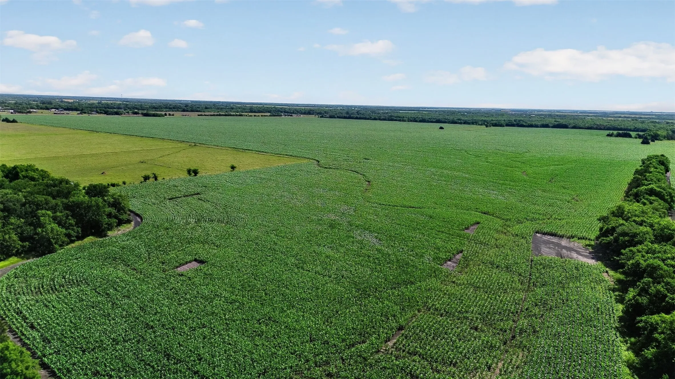 Expansive agricultural property featuring vast fields of green crops under a clear sky