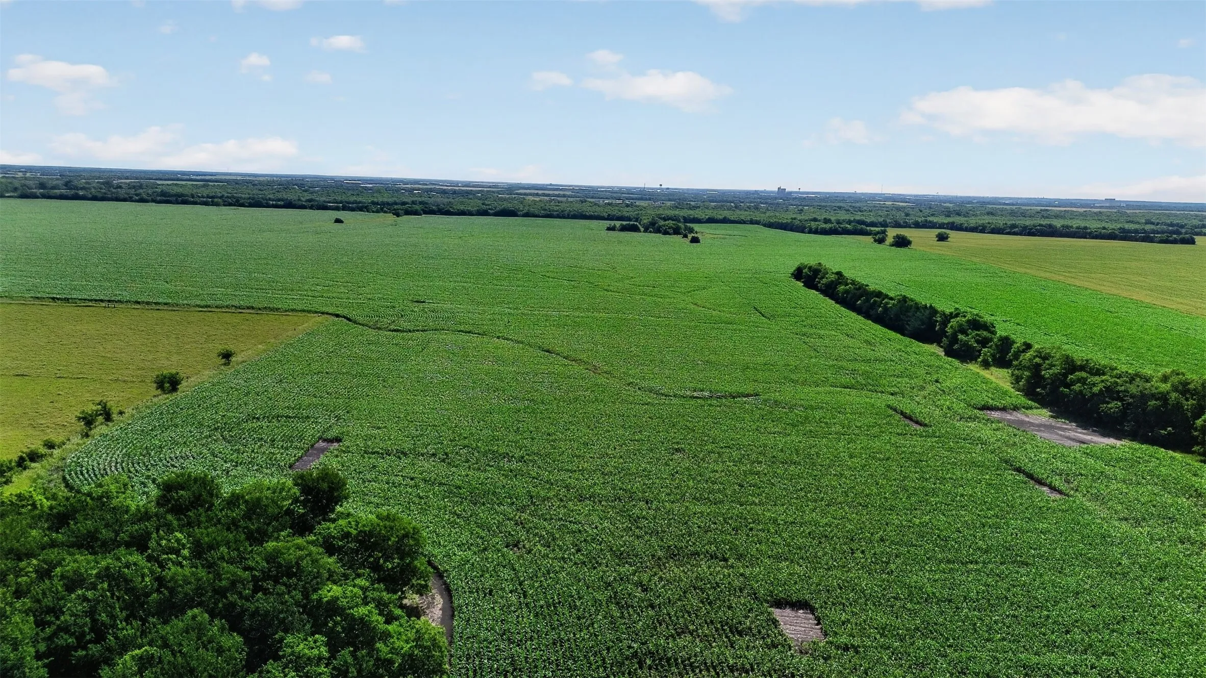 Expansive agricultural land featuring verdant fields