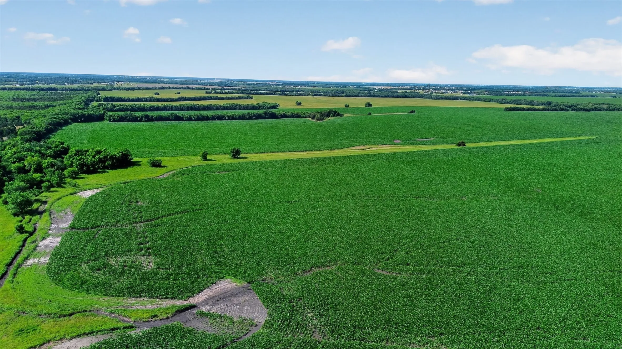 Expansive agricultural land featuring a verdant crop field, bordering a treeline and a visible waterway