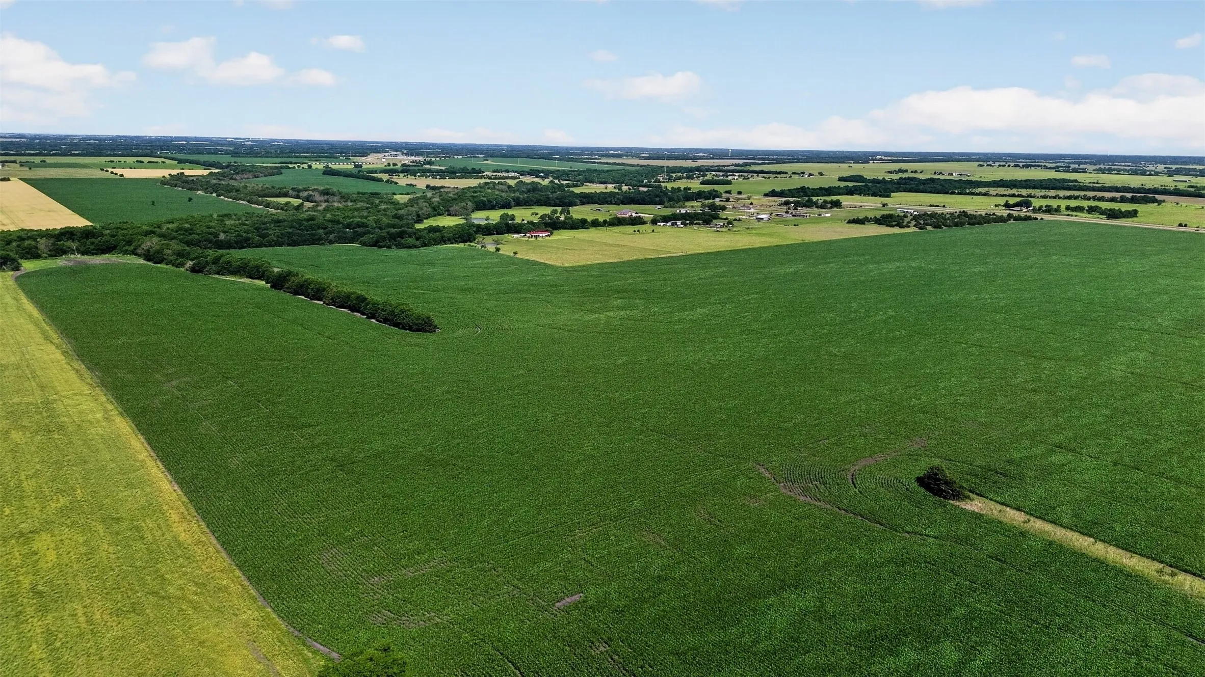 Expansive agricultural land featuring a large green crop field and distant treelines