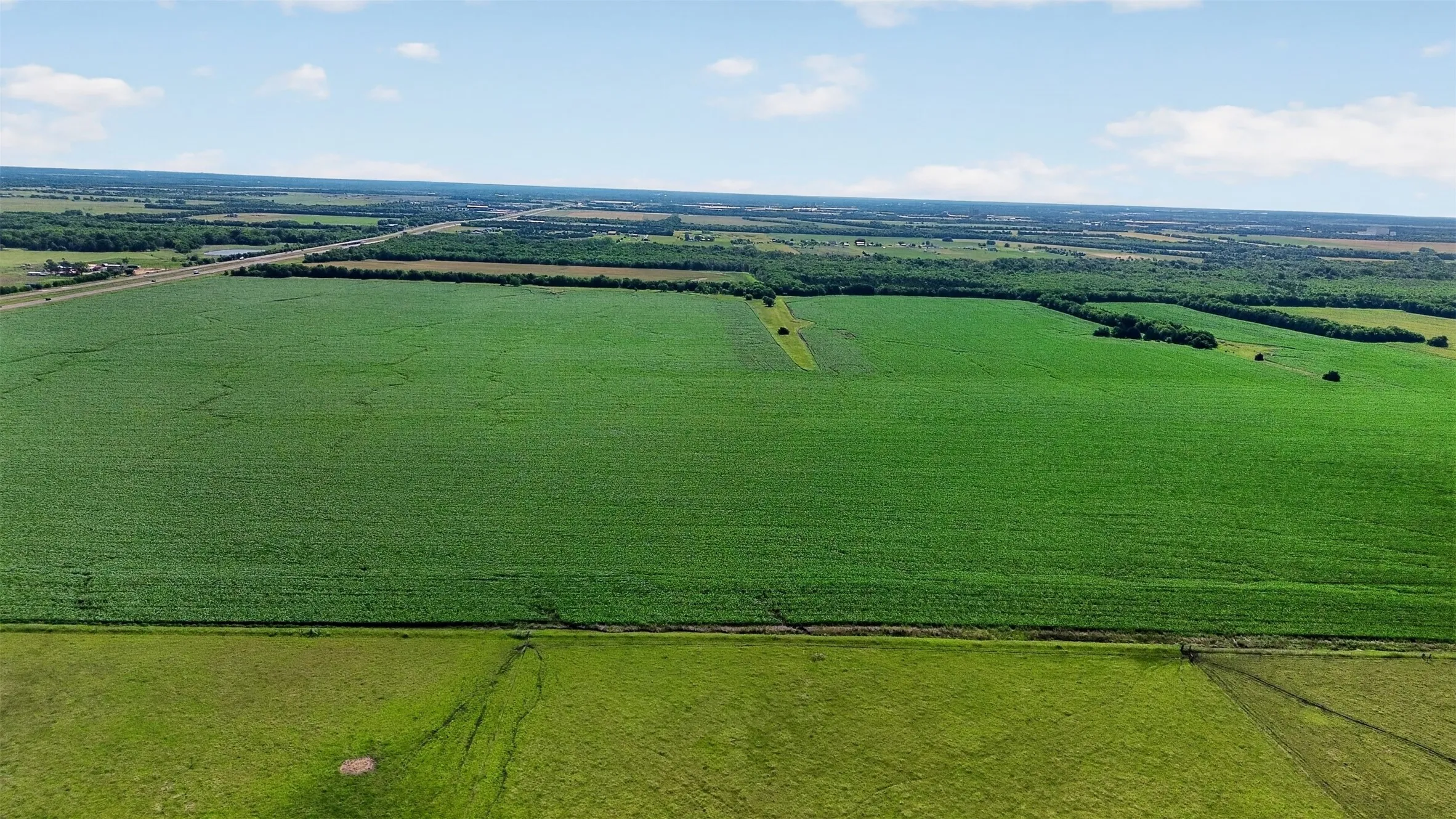Expansive agricultural fields with lush green crops under a bright sky