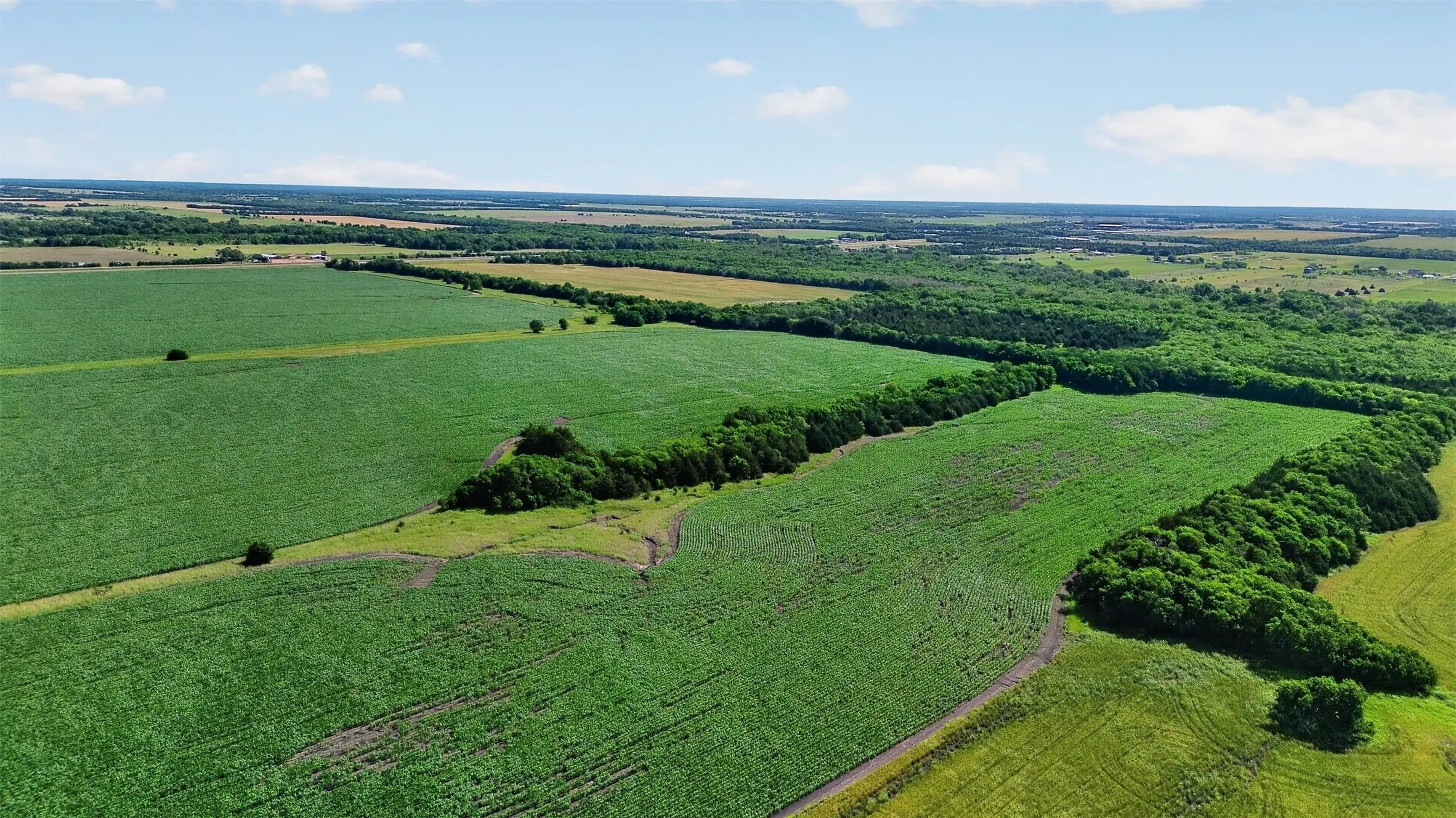 Expansive agricultural fields featuring clear, open land and established tree lines