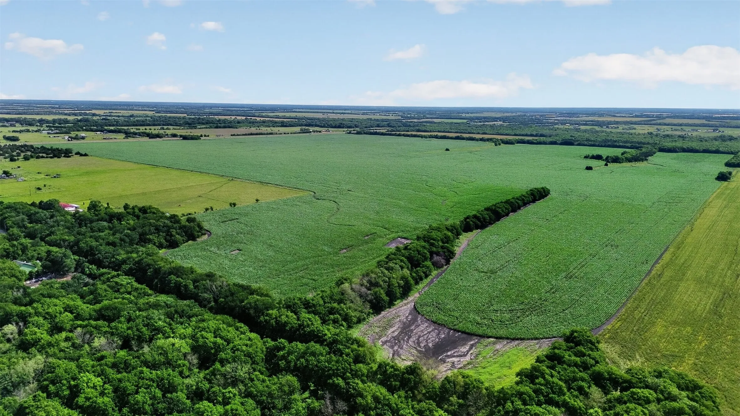Expansive agricultural landscape featuring large cultivated fields and extensive natural tree lines